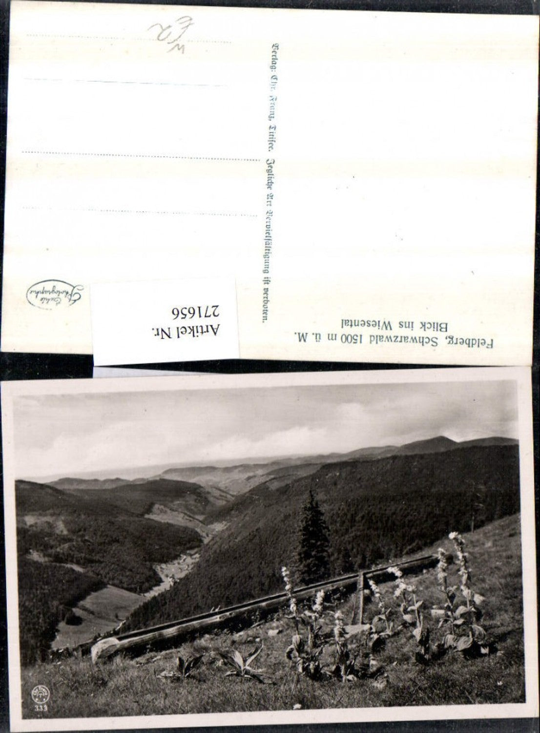 271656,Feldberg im Schwarzwald Blick ins Wiesental