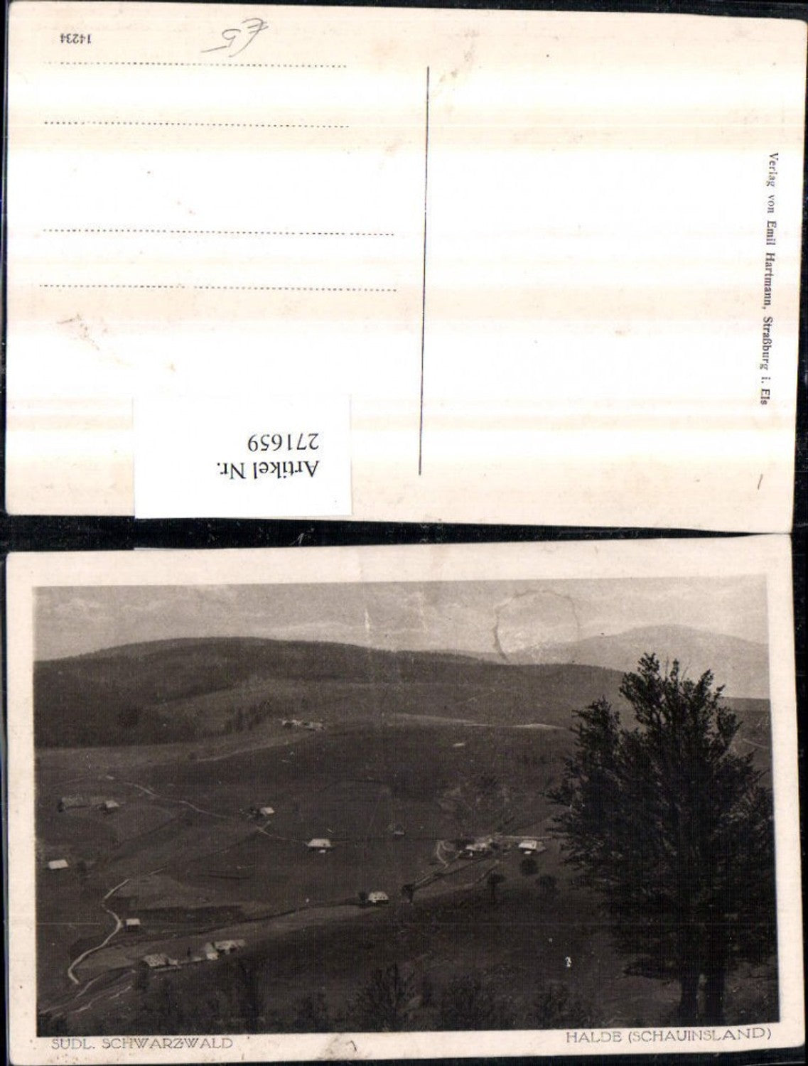 271659,Halde im Schwarzwald Schauinsland Bergkulisse