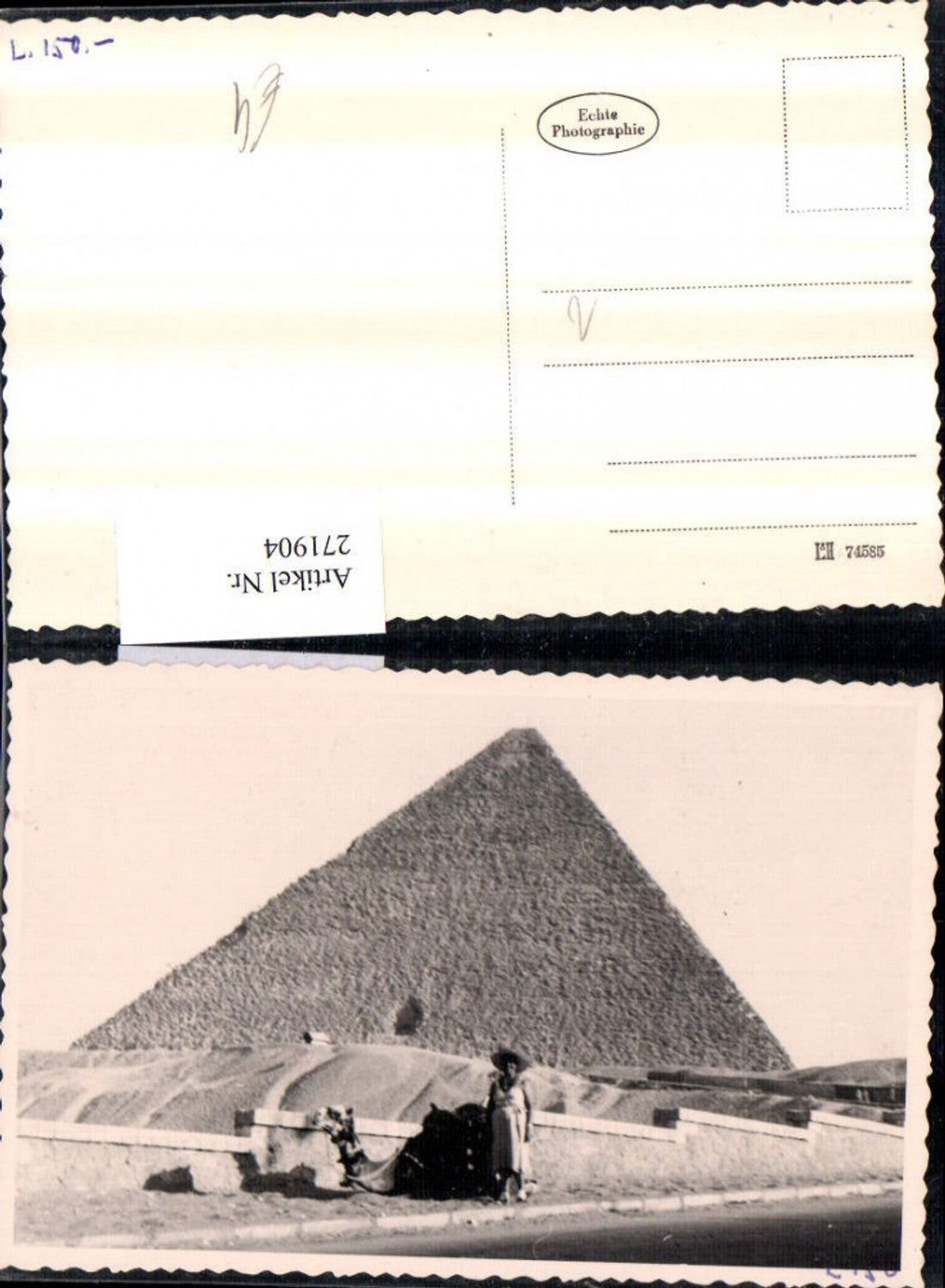 271904, Photo AK Woman with hat, dress, camel, pyramid