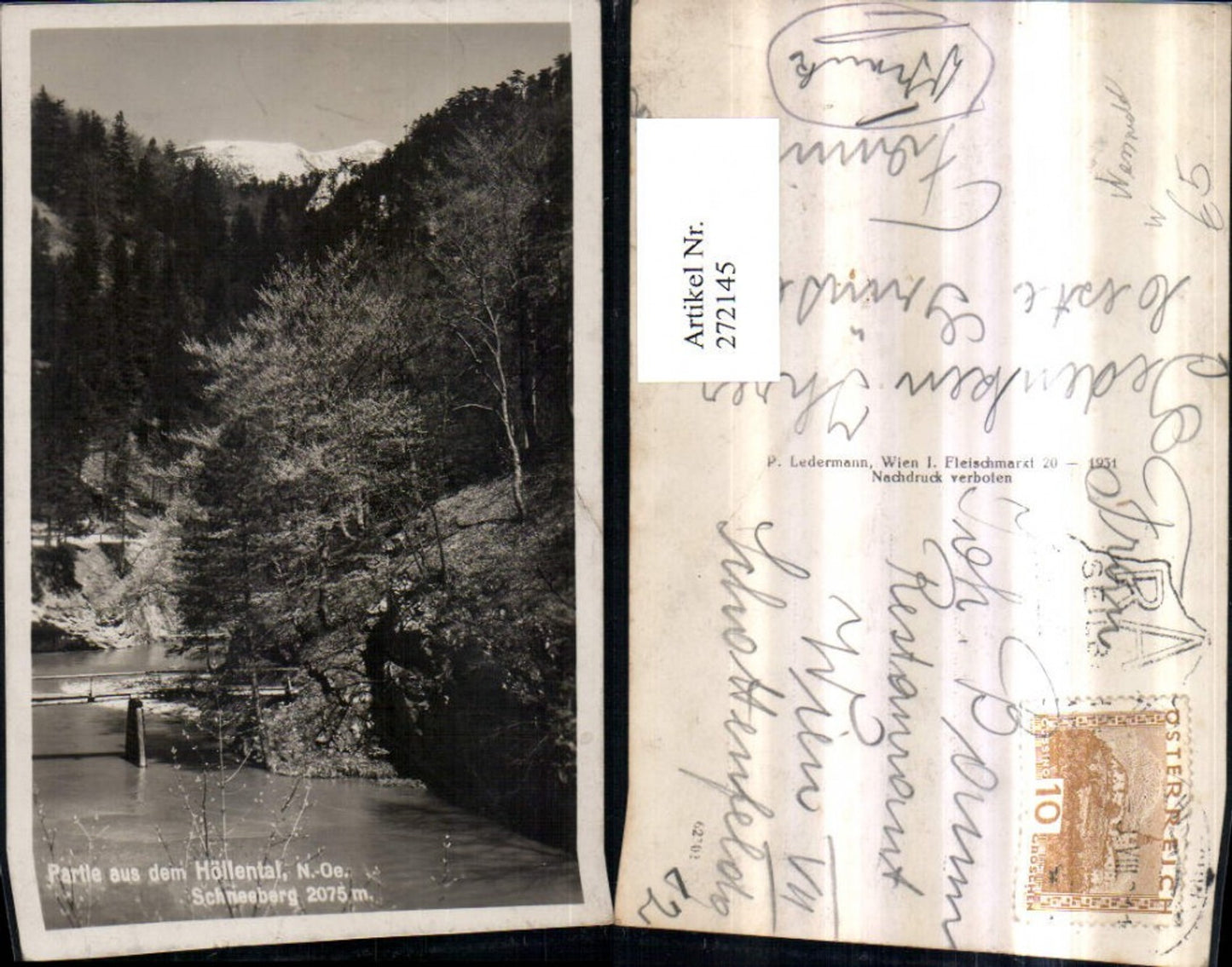272145,Partie aus d. Höllental Brücke m. Schneeberg b. Schwarzau im Gebirge