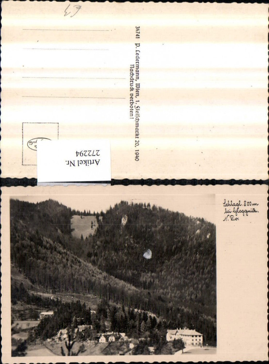 272294,Schlagl b. Gloggnitz Teilansicht