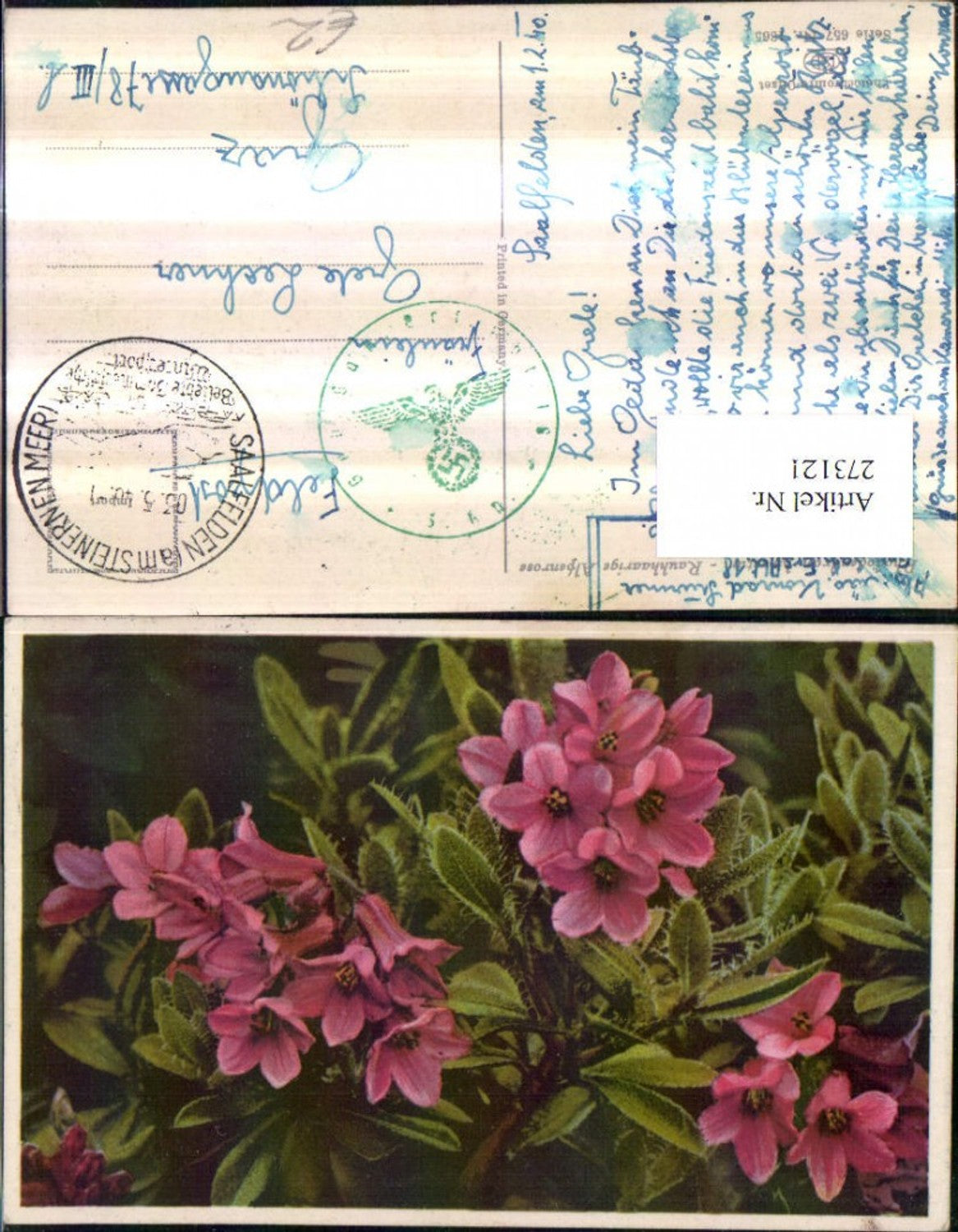 273121,Photochromie Nenke & Ostermaier 657/1365 Rauhhaarige Alpenrose Blume Detailansicht