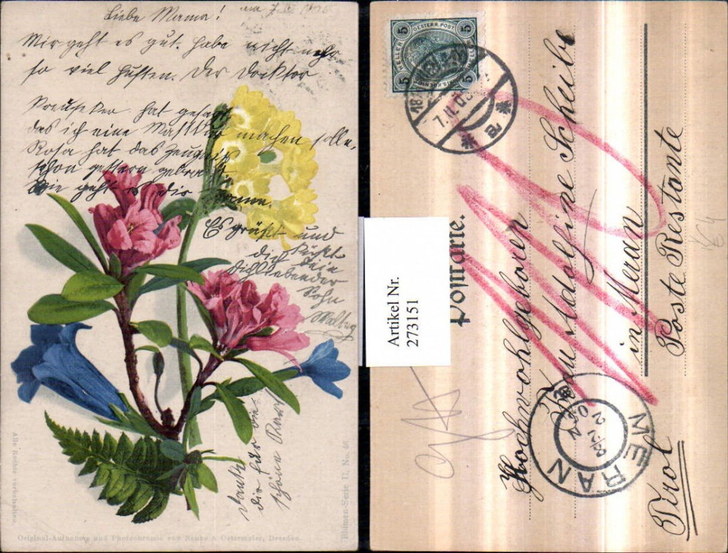 273151,Photochromie Nenke & Ostermaier 46 Blumen Enzian Alpenrose Himmelschlüssel