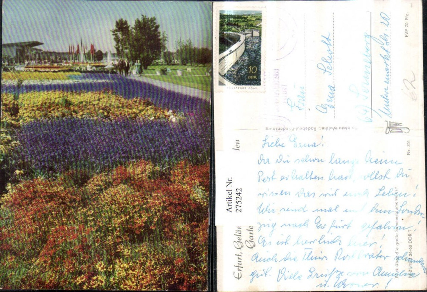 275242,Erfurt Gelände d. Internationalen Gartenbauausstellung Sommerblumenwiese