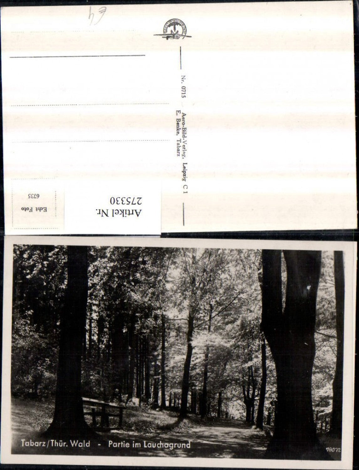 275330, Tabarz, section in Lauchagrund, path section, forest