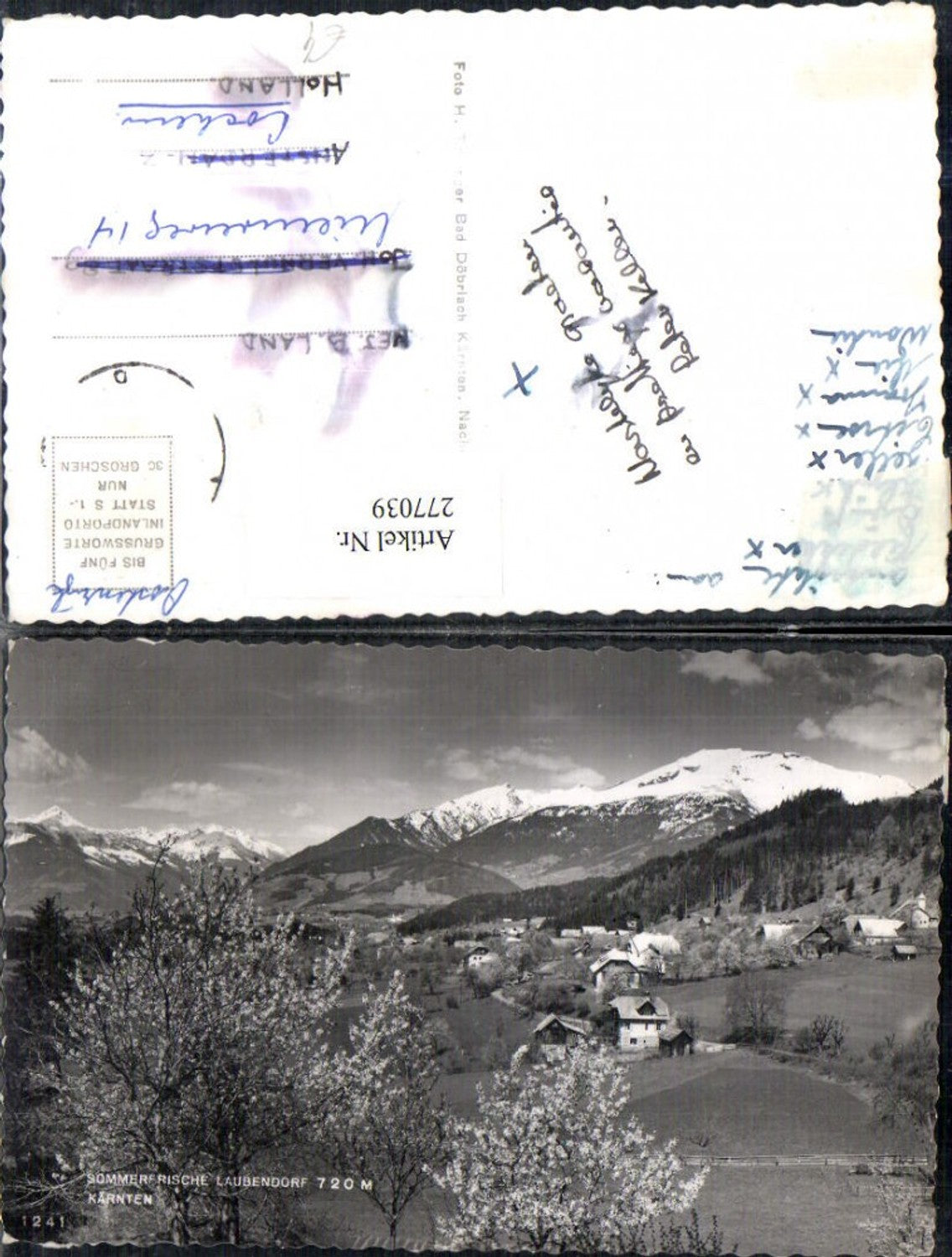 277039,Laubendorf in Kärnten Totale Baumblüte Bergkulisse