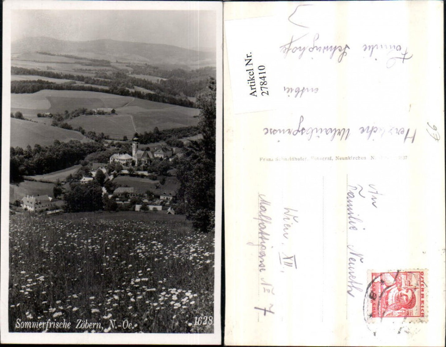 278410,Zöbern Totale Blumenwiese