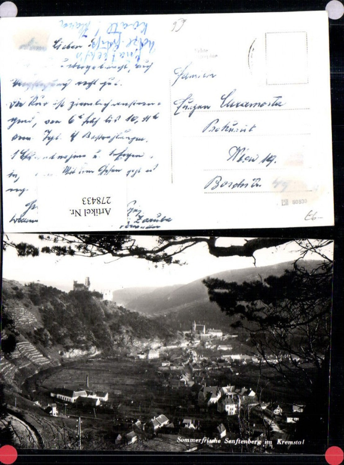 278433,Senftenberg im Kremstal Totale m. Burgruine