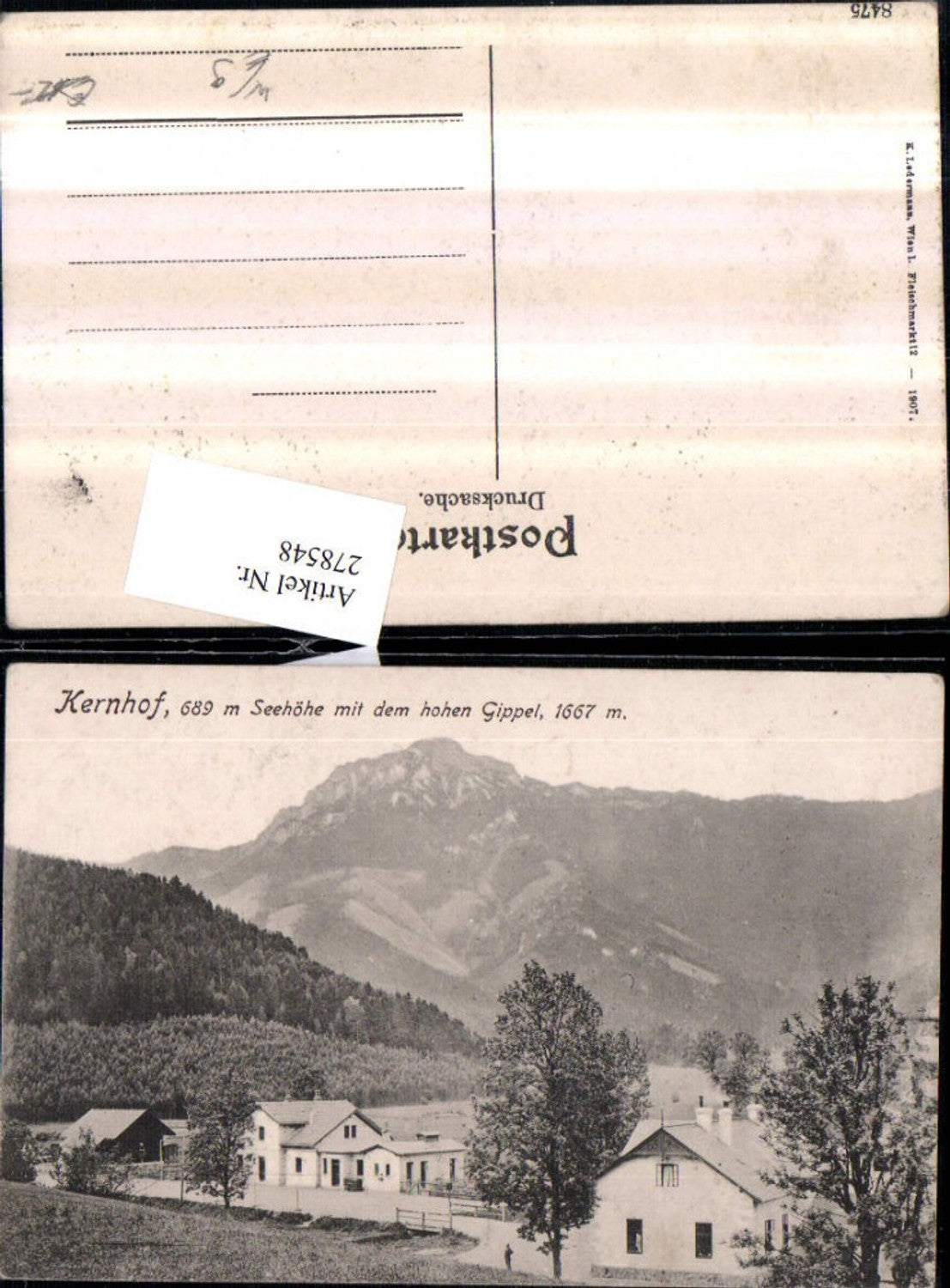 278548,Kernhof b. St. Aegyd am Neuwalde Bergkulisse