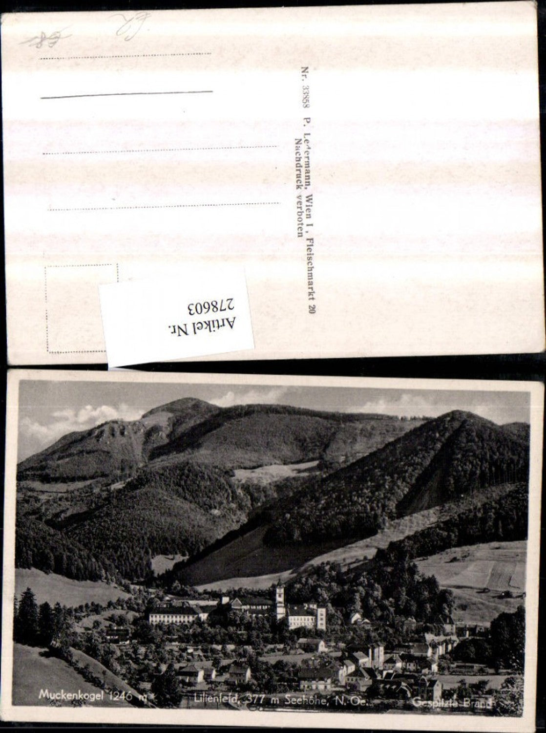 278603,Lilienfeld Totale m. Muckenkogel u. Gespitzte Brand