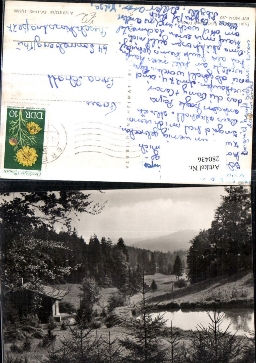 280436,Foto Schlegel Reichenbach im Vogtland Landschaft Wald pb VEB 11/3580