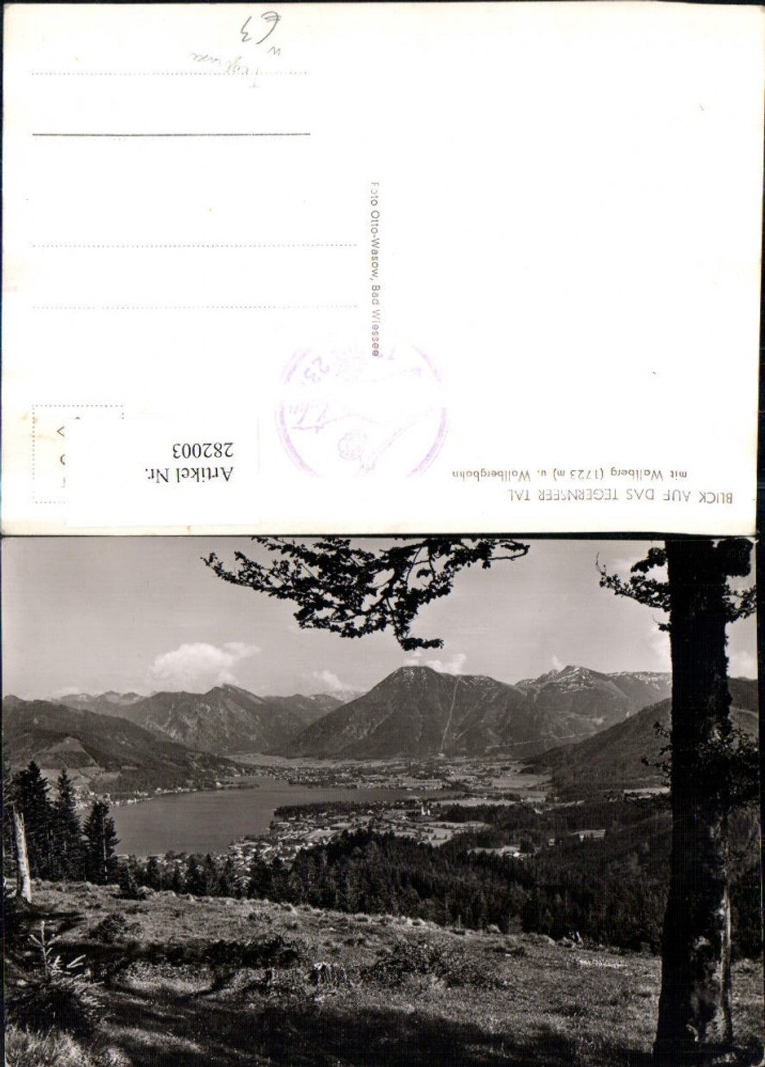 282003,Blick auf das Tegernseer-Tal Tegernsee Totale m. Wallberg u. Walbergbahn
