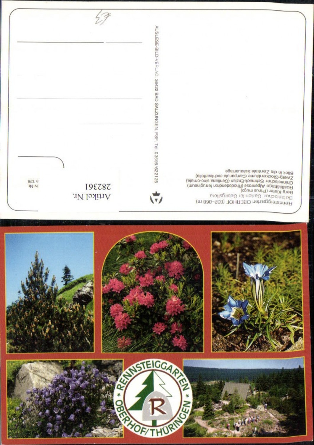 282361, Oberhof Rennsteig Garden Mountain Pine Alpine Rose Gentian Dwarf Bellflower Multi-image postcard