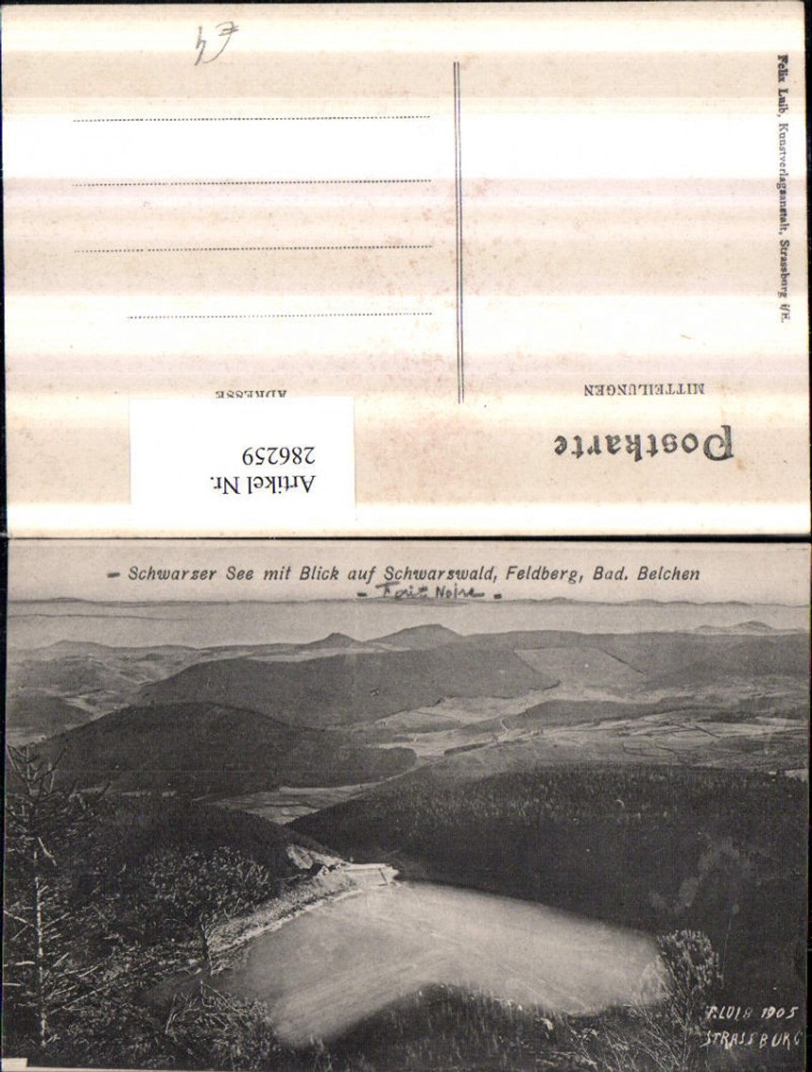 286259,Belchen Feldberg Schwarzer See m. Blick auf Schwarzwald b. Münstertal