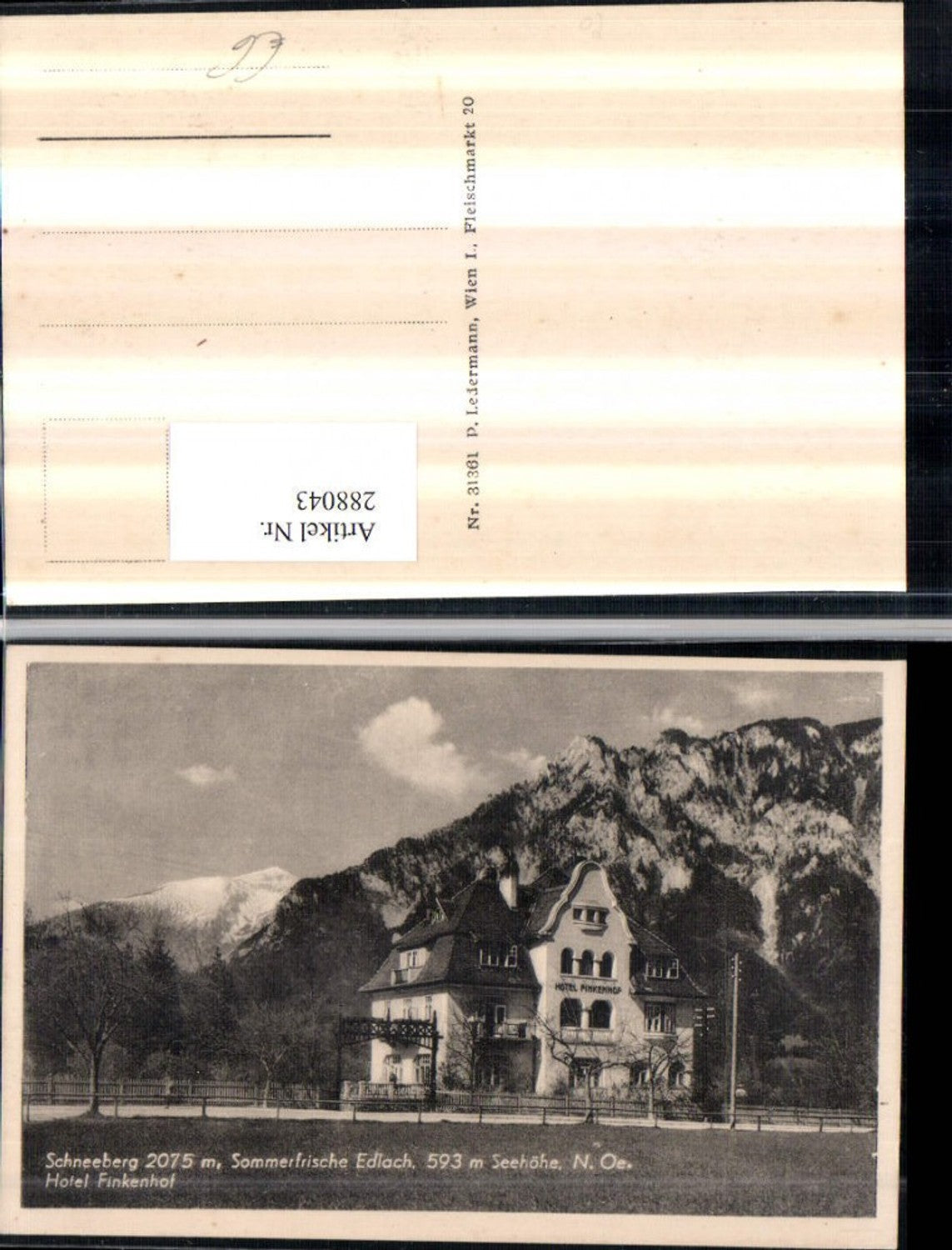 288043,Edlach Hotel Finkenhof m. Schneeberg Bergkulisse