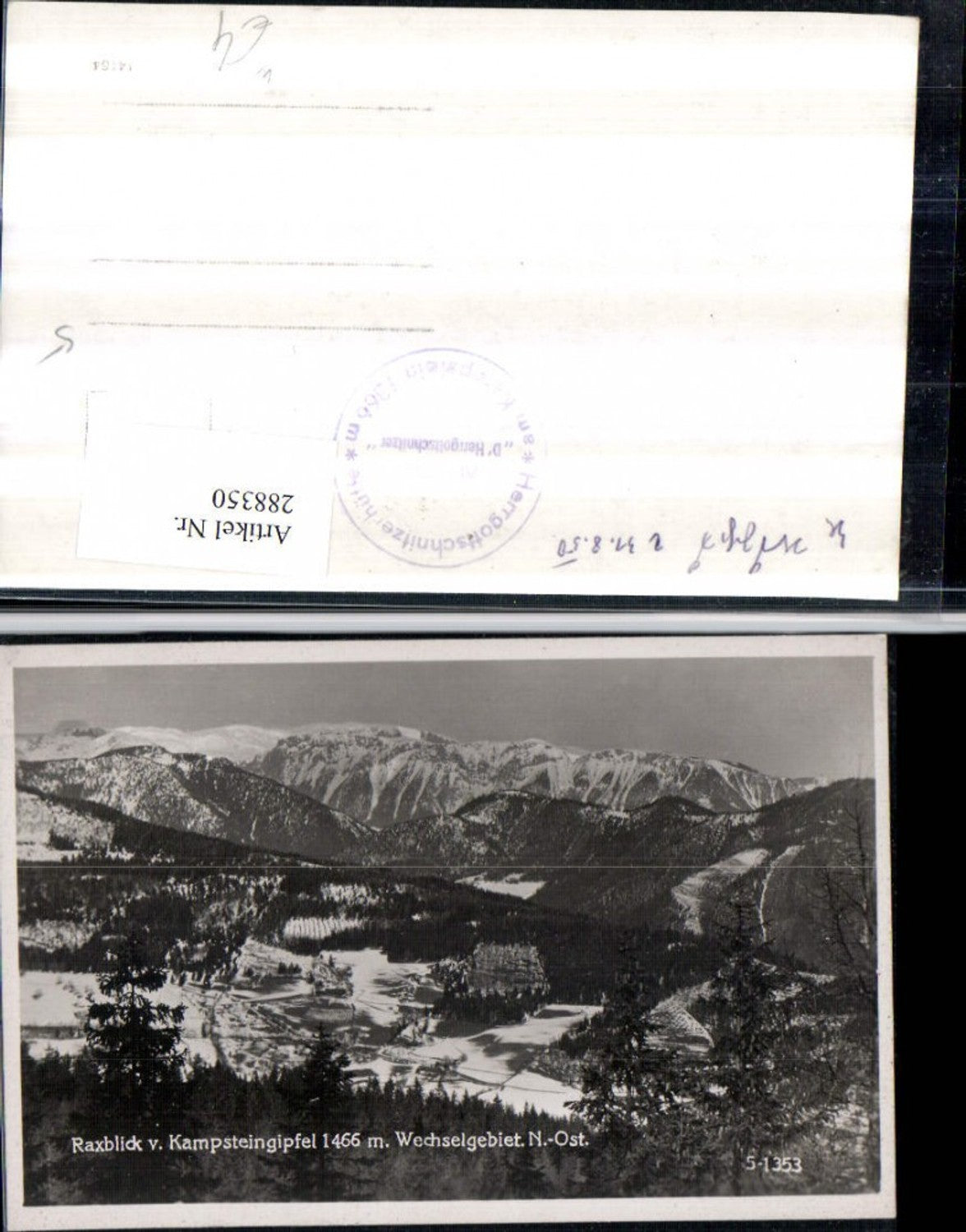 288350,Raxblick v. Kampsteingipfel Bergkulisse b. Kirchberg am Wechsel Winterbild