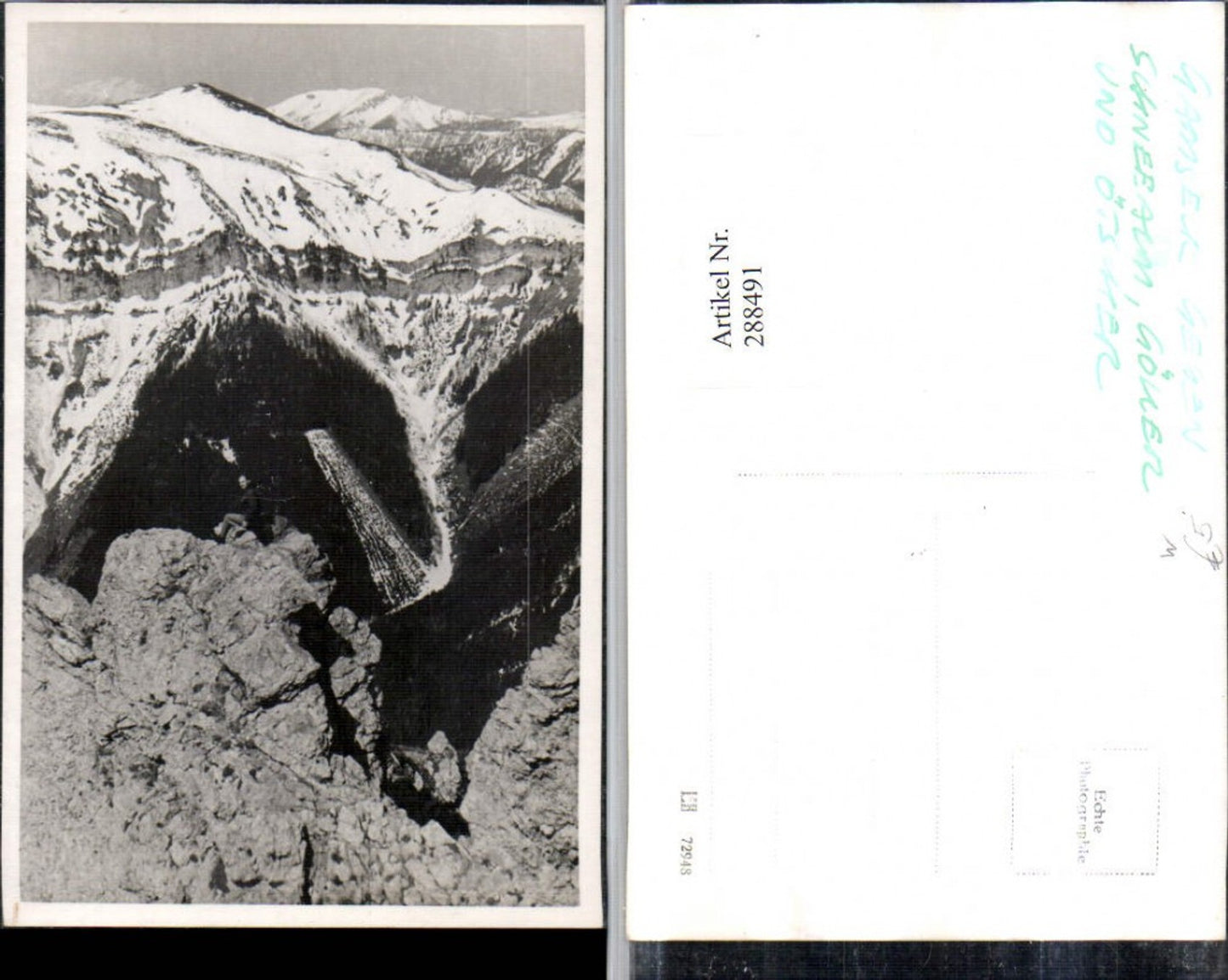 288491,Gamseck geg. Scheealm Ötscher Bergkulisse b. Nasswald Schwarzau