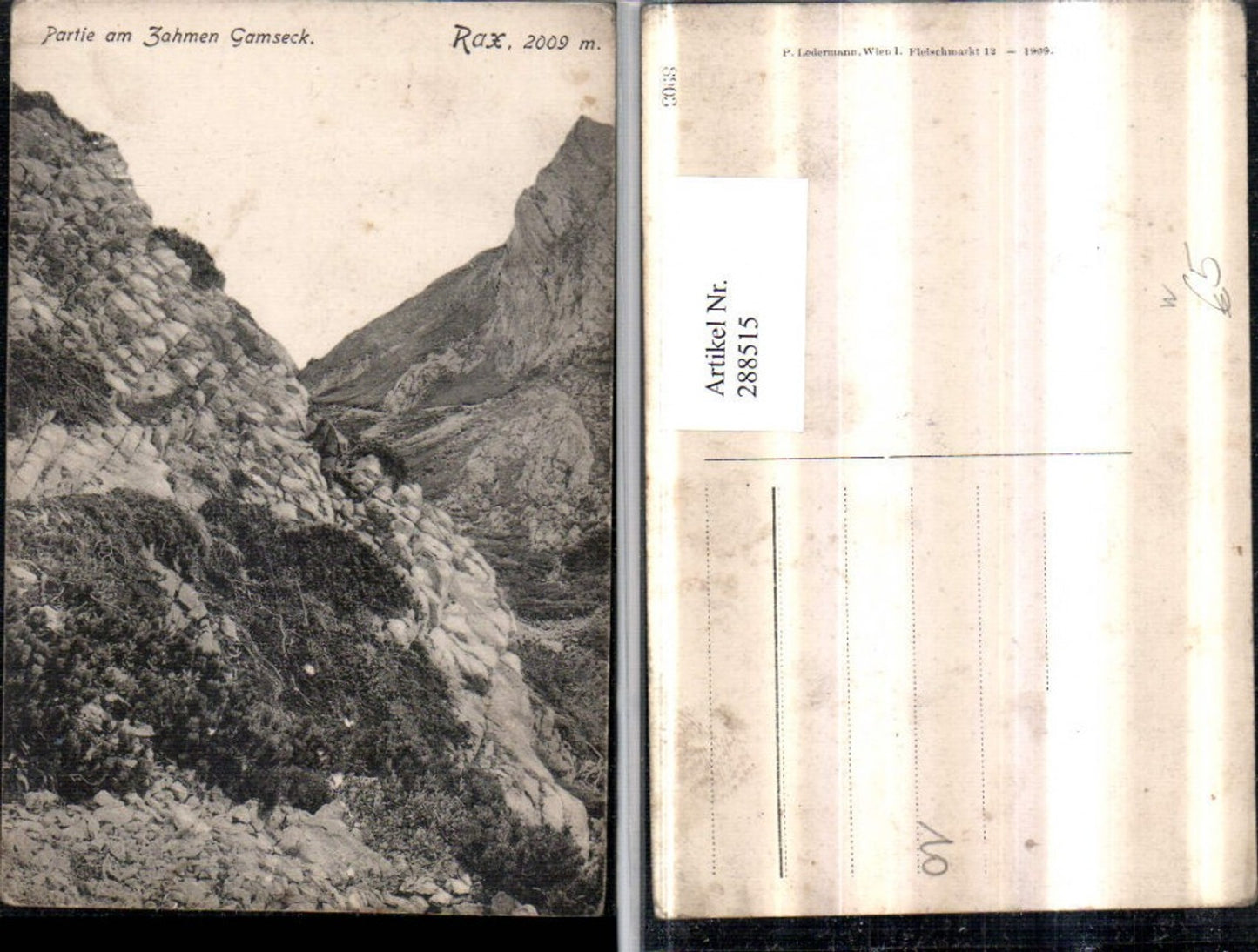 288515,Rax Partie am Zahmen Gamseck Bergsteiger b. Reichenau