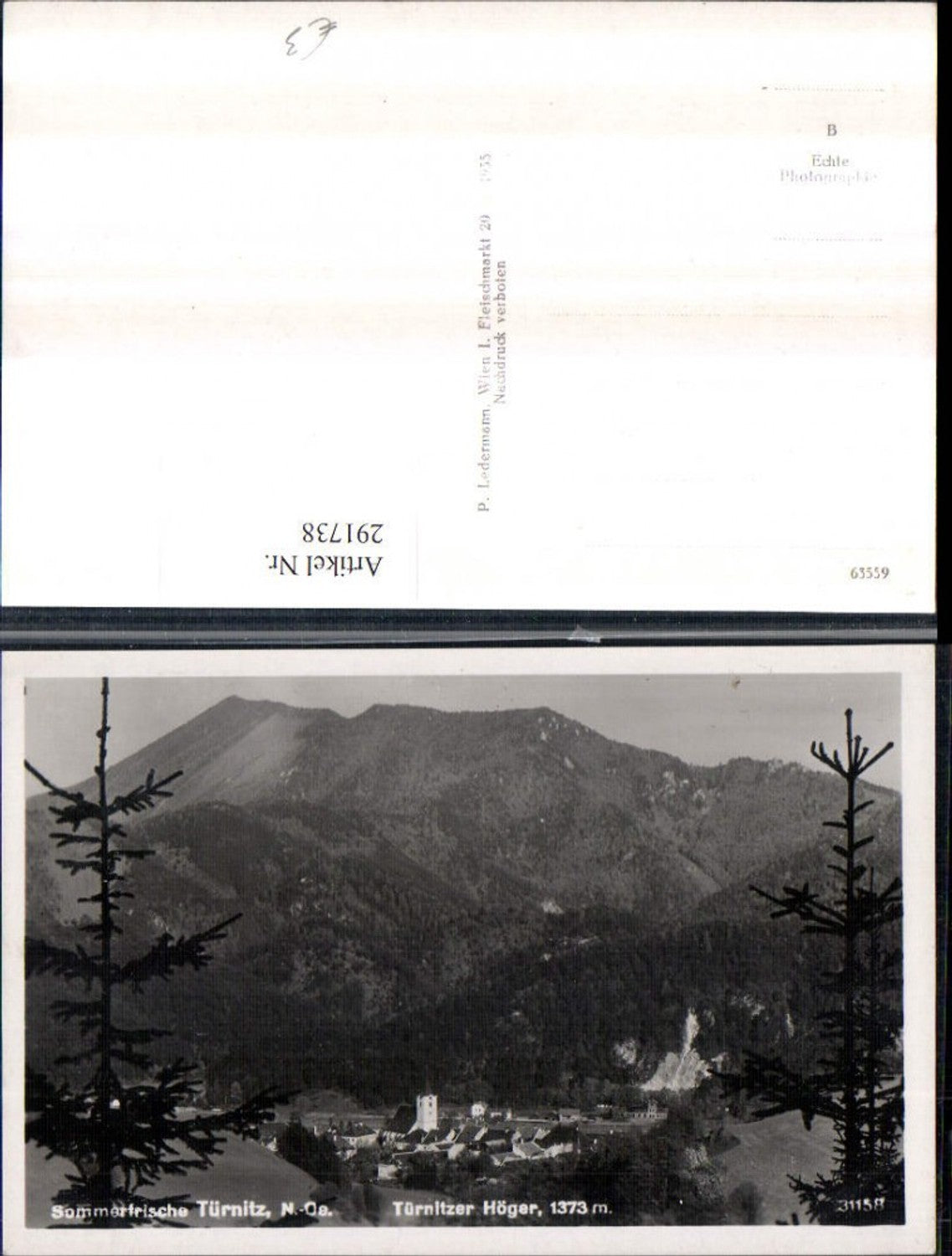 291738,Türnitz Totale m. Türnitzer Höger Bergkulisse