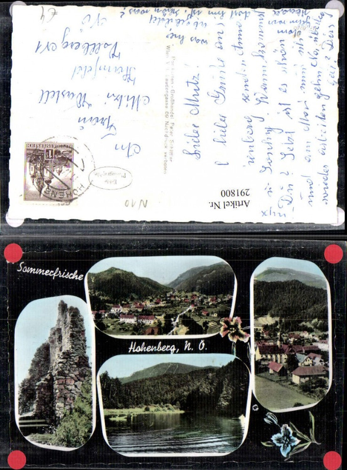 291800,Hohenberg Totale Ruine Turm Mehrbildkarte