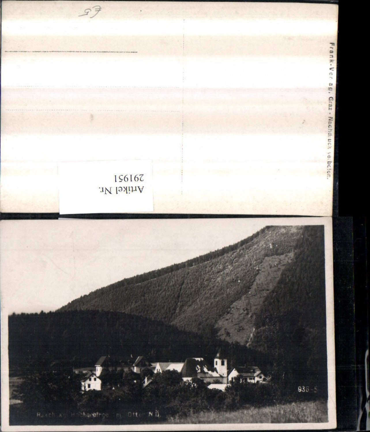 291951,Raach am Hochgebirge Teilansicht Kirche m. Otter