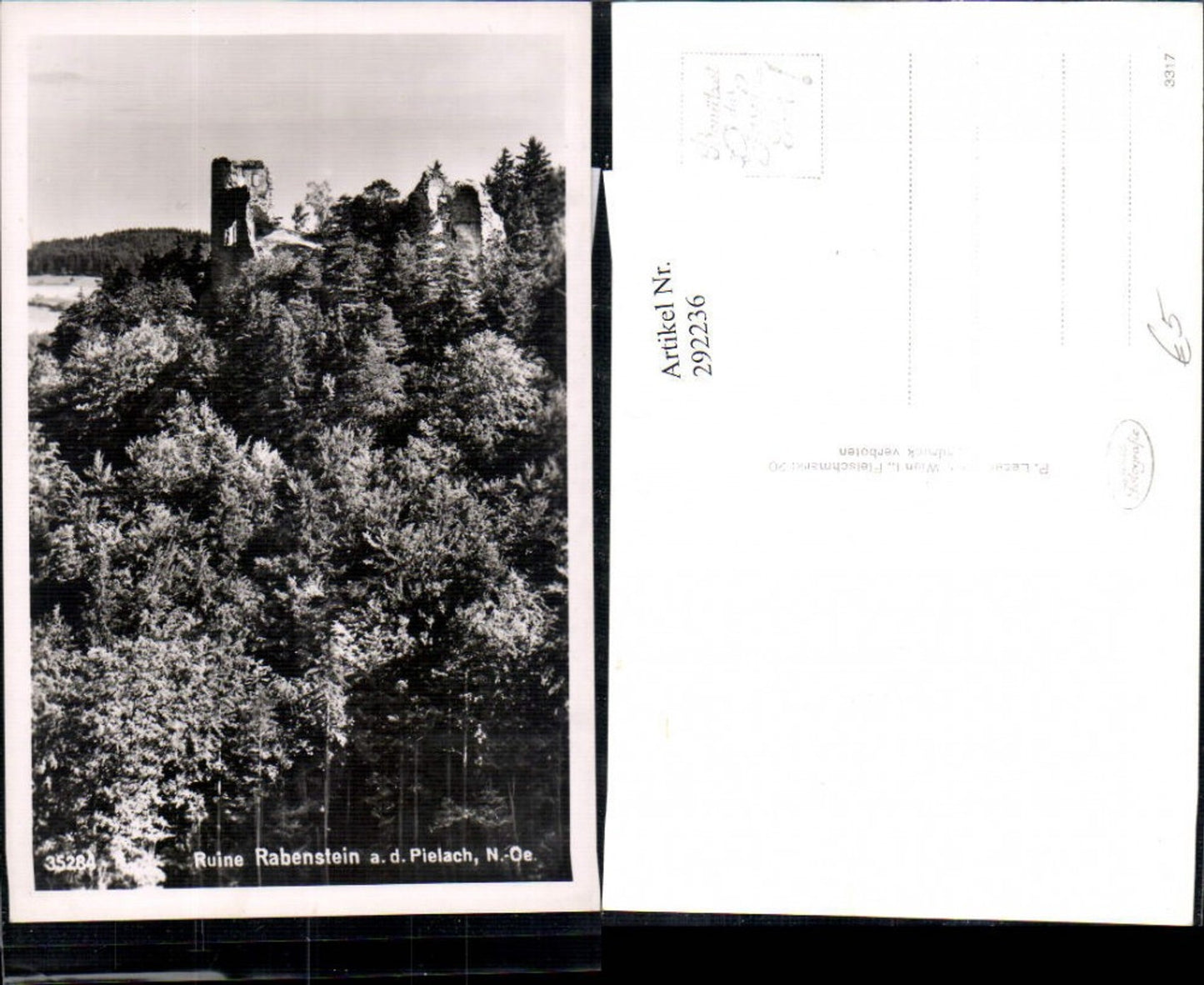 292236,Ruine Rabenstein an d. Pielach