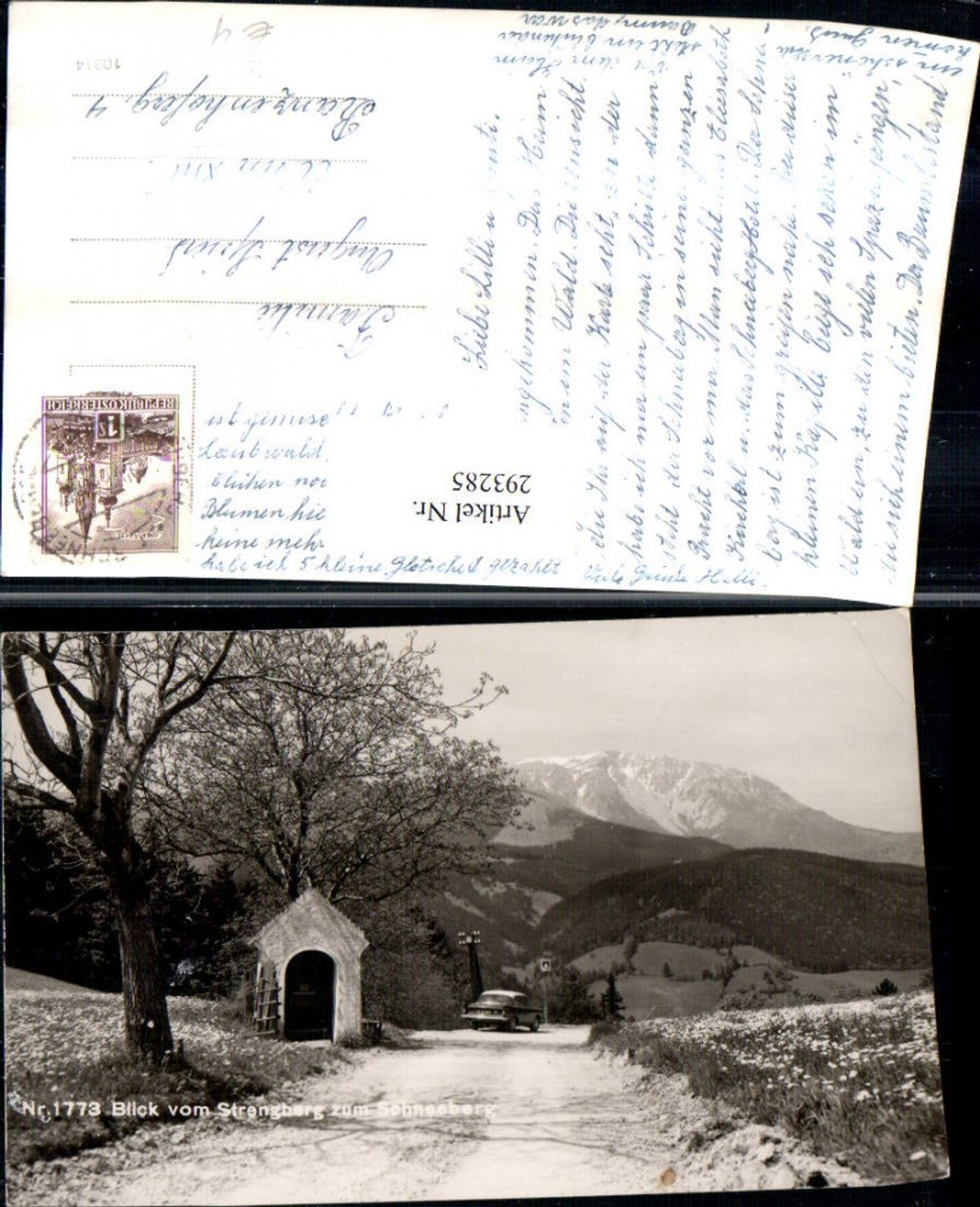 293285,Blick vom Strengberg zum Schneeberg Bergkulisse Kapelle b. Puchberg