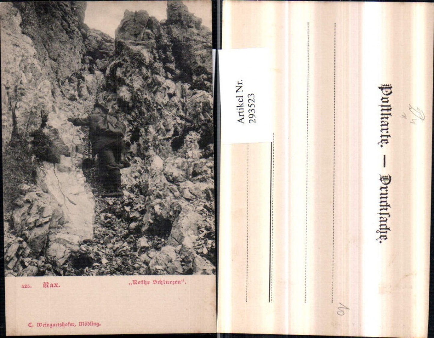 293523,Rax Rothe Rote Schlurze Bergsteiger b. Reichenau