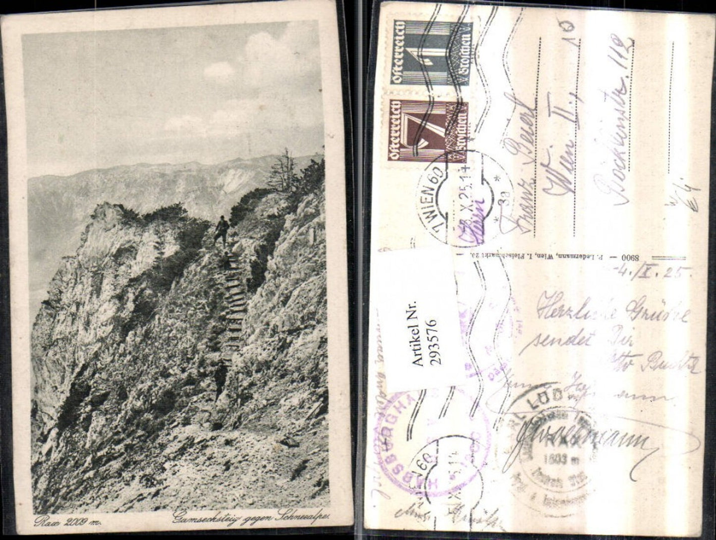 293576,Rax Gamsecksteig geg. Schneealpe Bergkulisse b. Naßwald Schwarzau