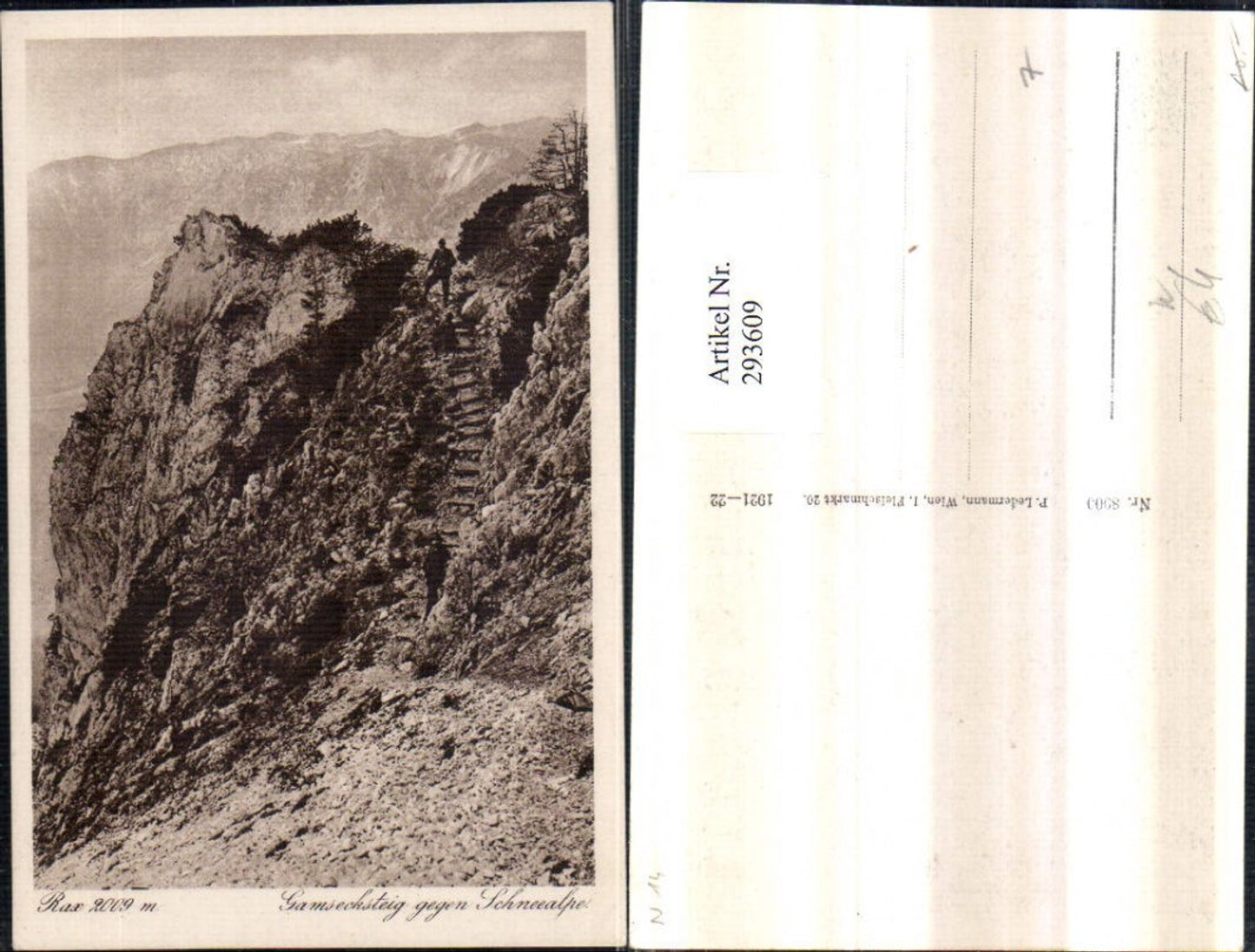 293609,Rax Gamsecksteig geg. Schneealpe Bergkulisse b. Naßwald Schwarzau