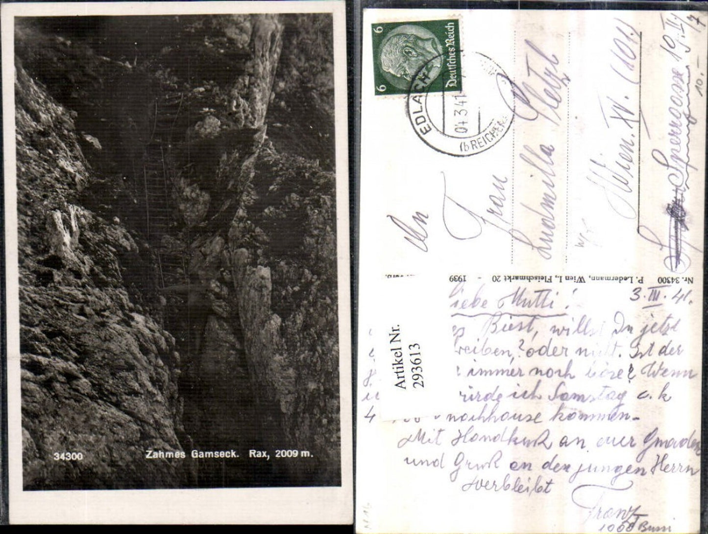 293613,Rax Zahmes Gamseck Partie b. Naßwald Schwarzau Leiter Bergsteiger
