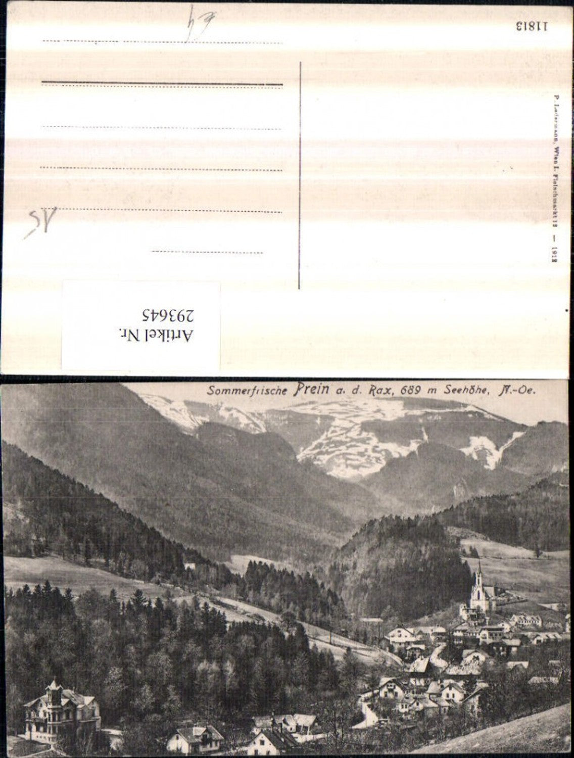 293645,Prein an d. Rax Totale Bergkulisse