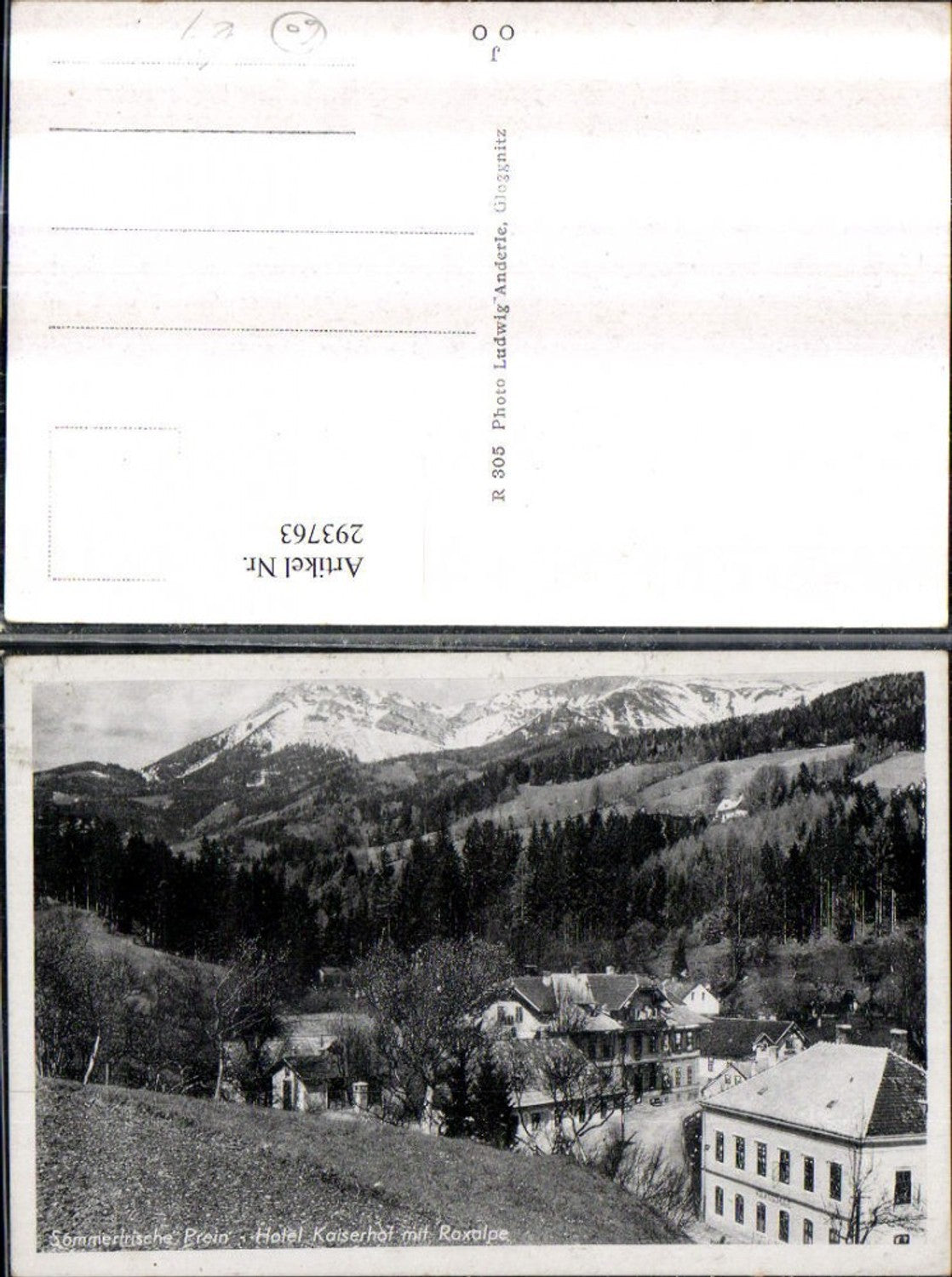 293763,Prein an d. Rax Hotel Kaiserhof m. Raxalpe Bergkulisse