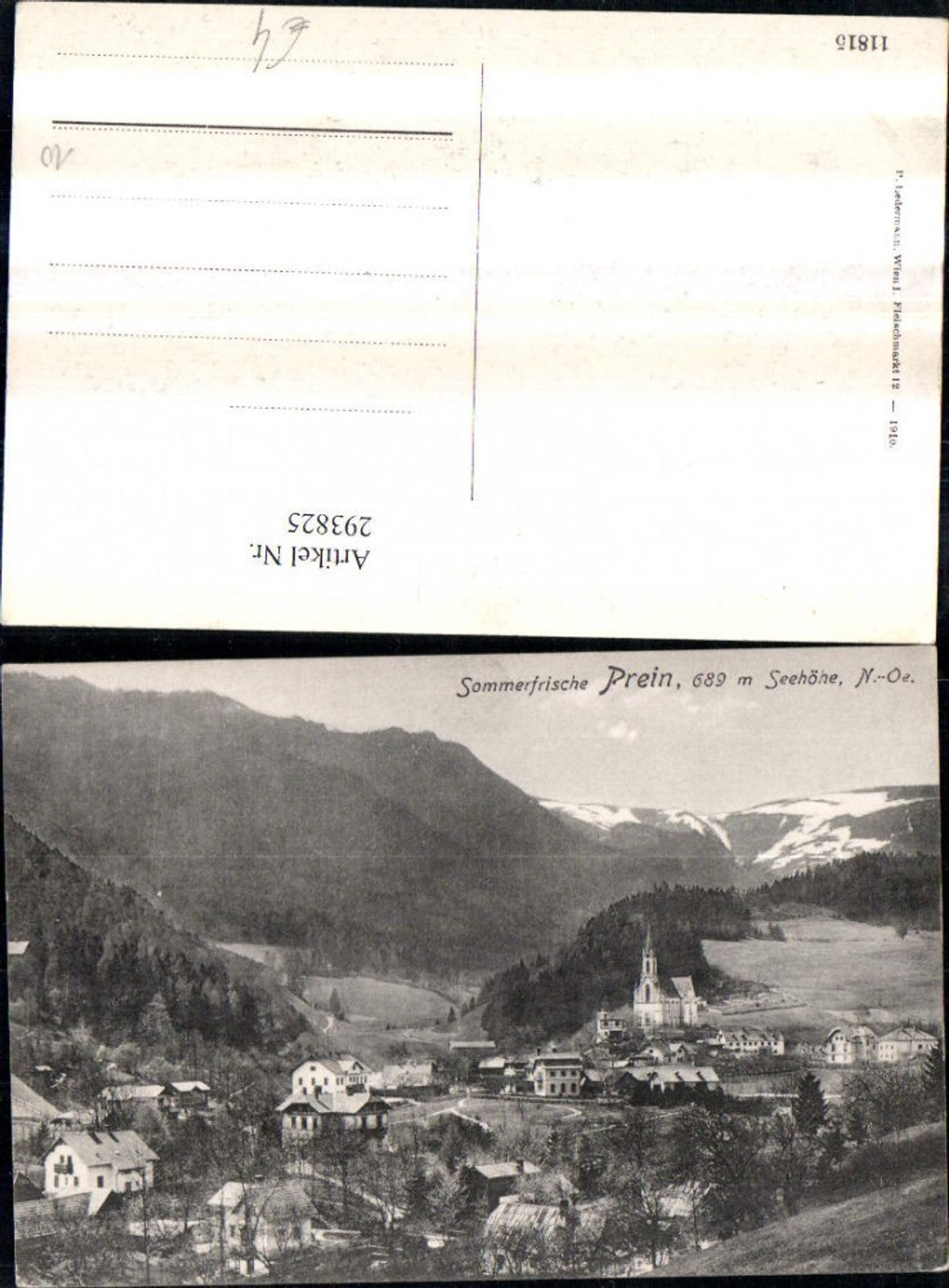 293825,Prein an d. Rax Totale Bergkulisse