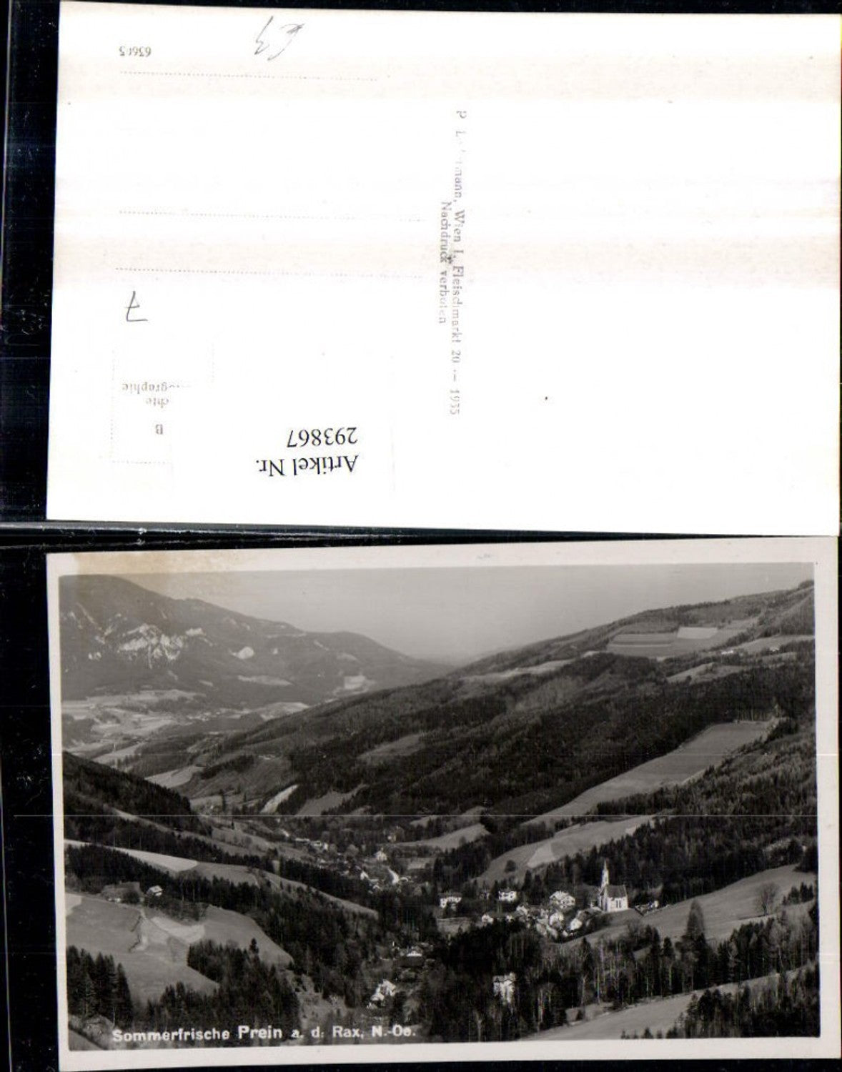 293867,Prein an d. Rax Totale Bergkulisse
