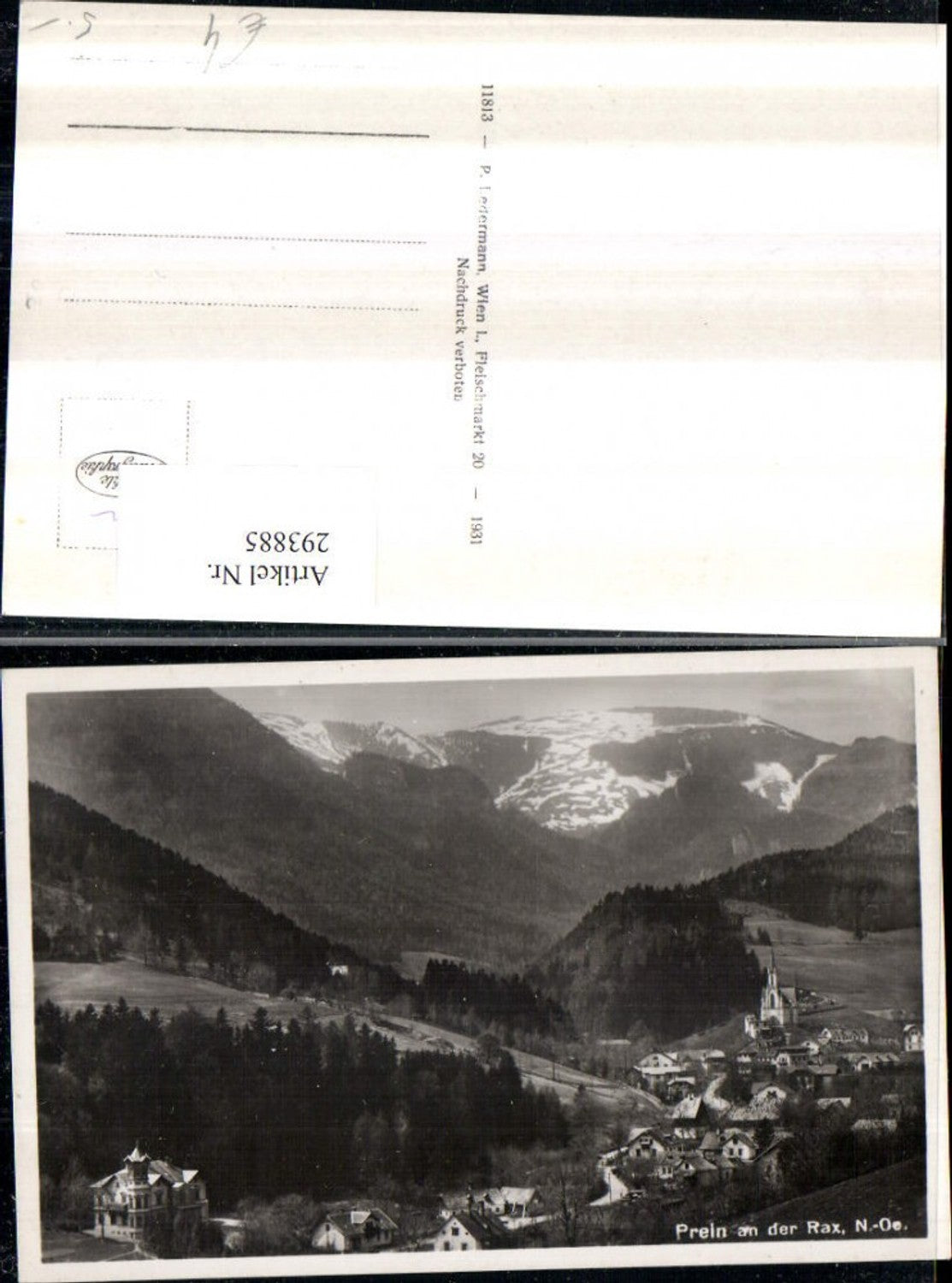 293885,Prein an d. Rax Totale Bergkulisse