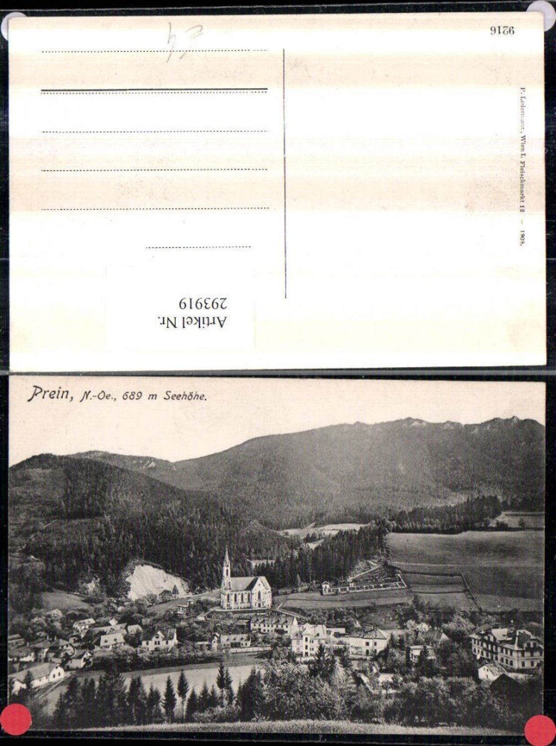293919,Prein an d. Rax Totale Bergkulisse