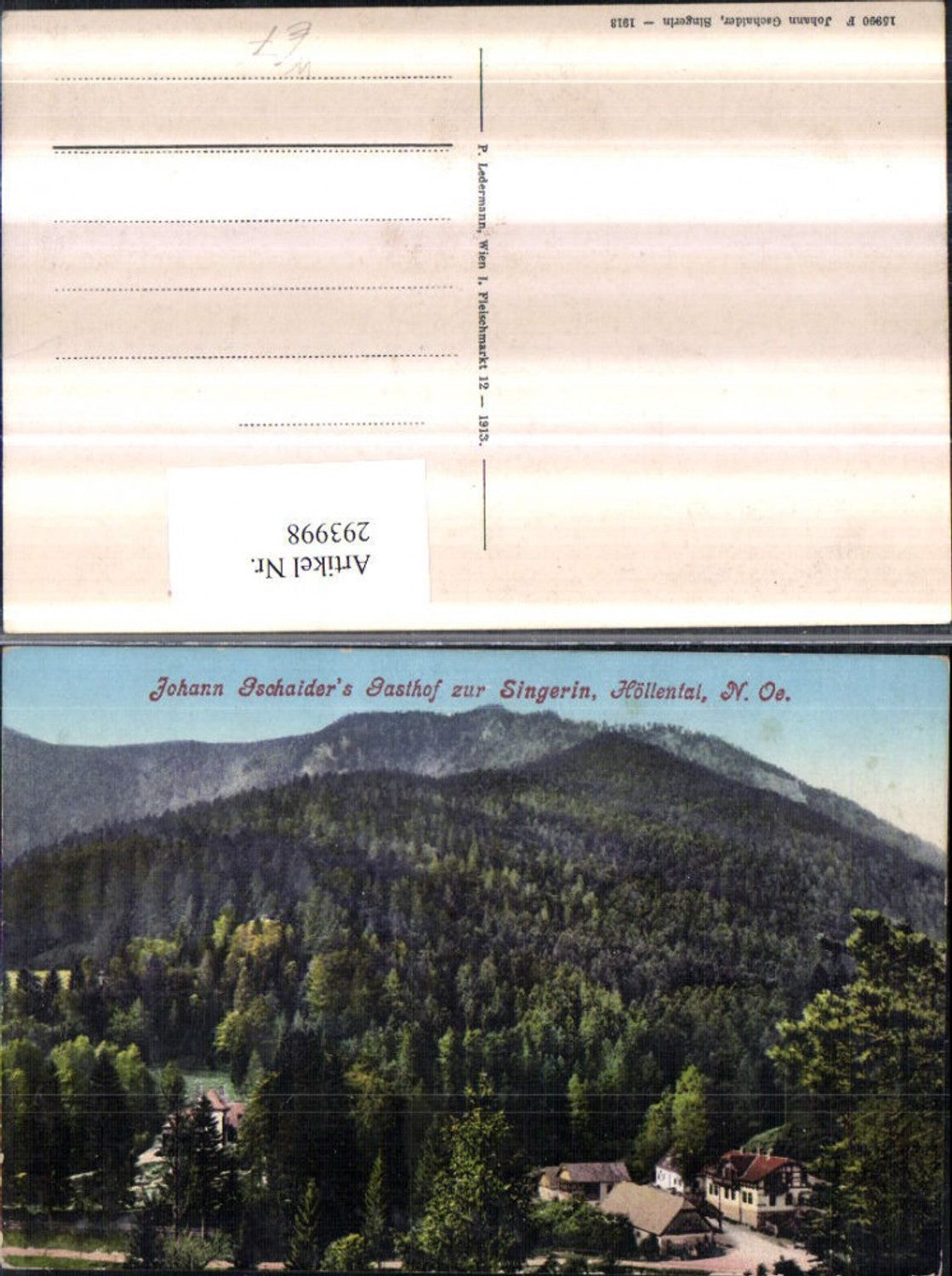 293998,Naßwald Schwarzau Johann Gschaiders Gasthof zur Singerin im Höllental