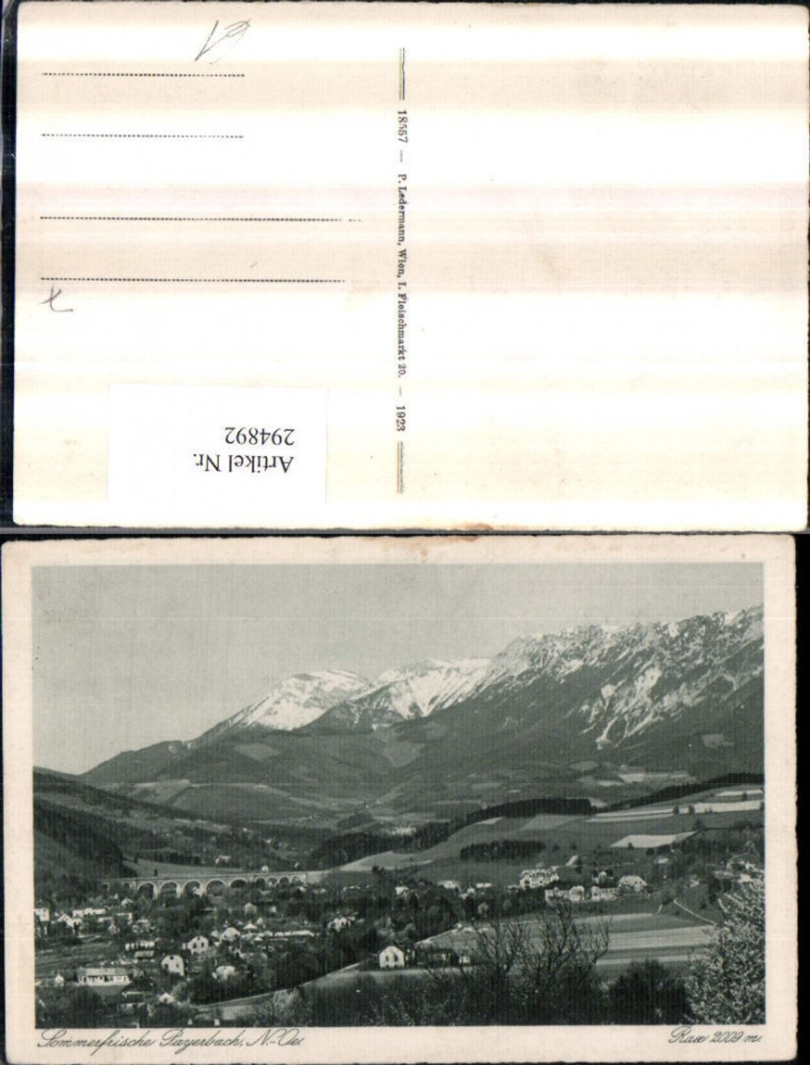 294892,Payerbach Totale m. Viadukt Brücke u. Rax Bergkulisse