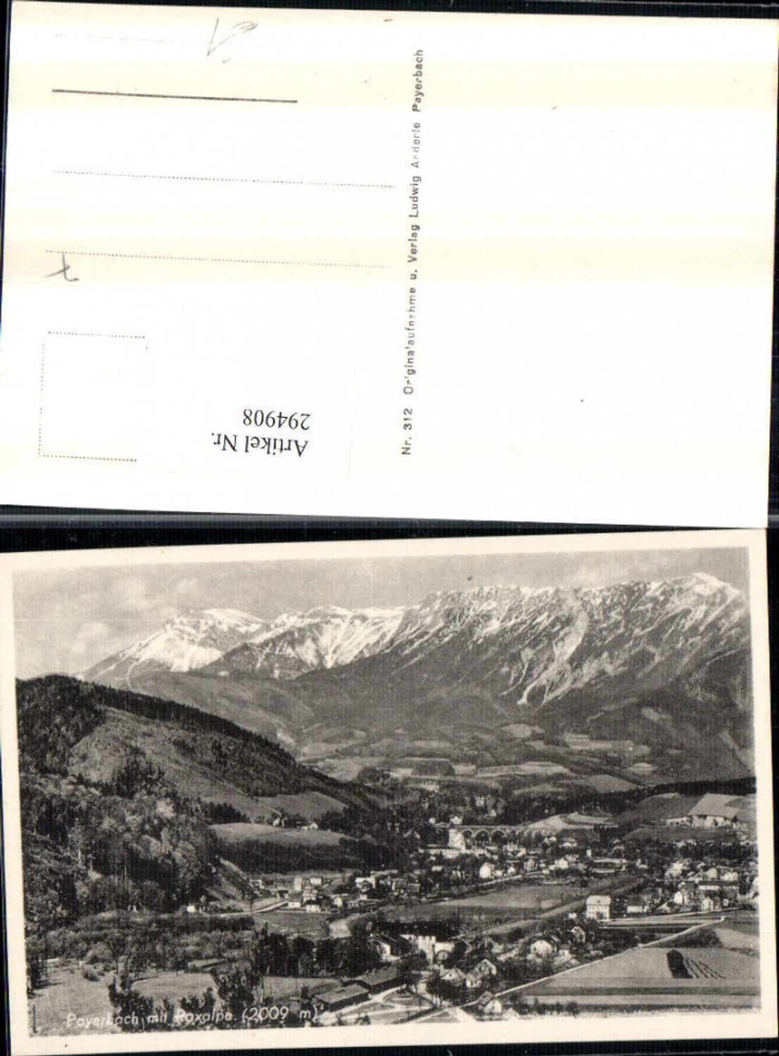 294908,Payerbach Totale m. Raxalpe Bergkulisse