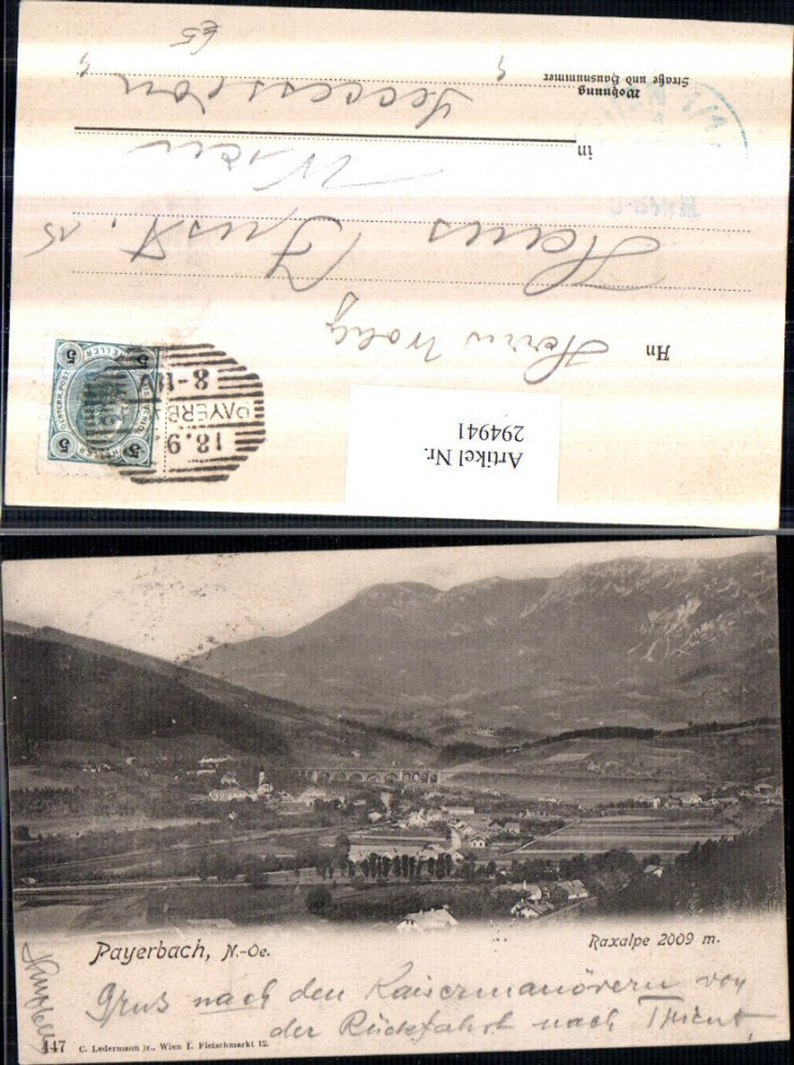 294941,Payerbach Totale m. Raxalpe Bergkulisse