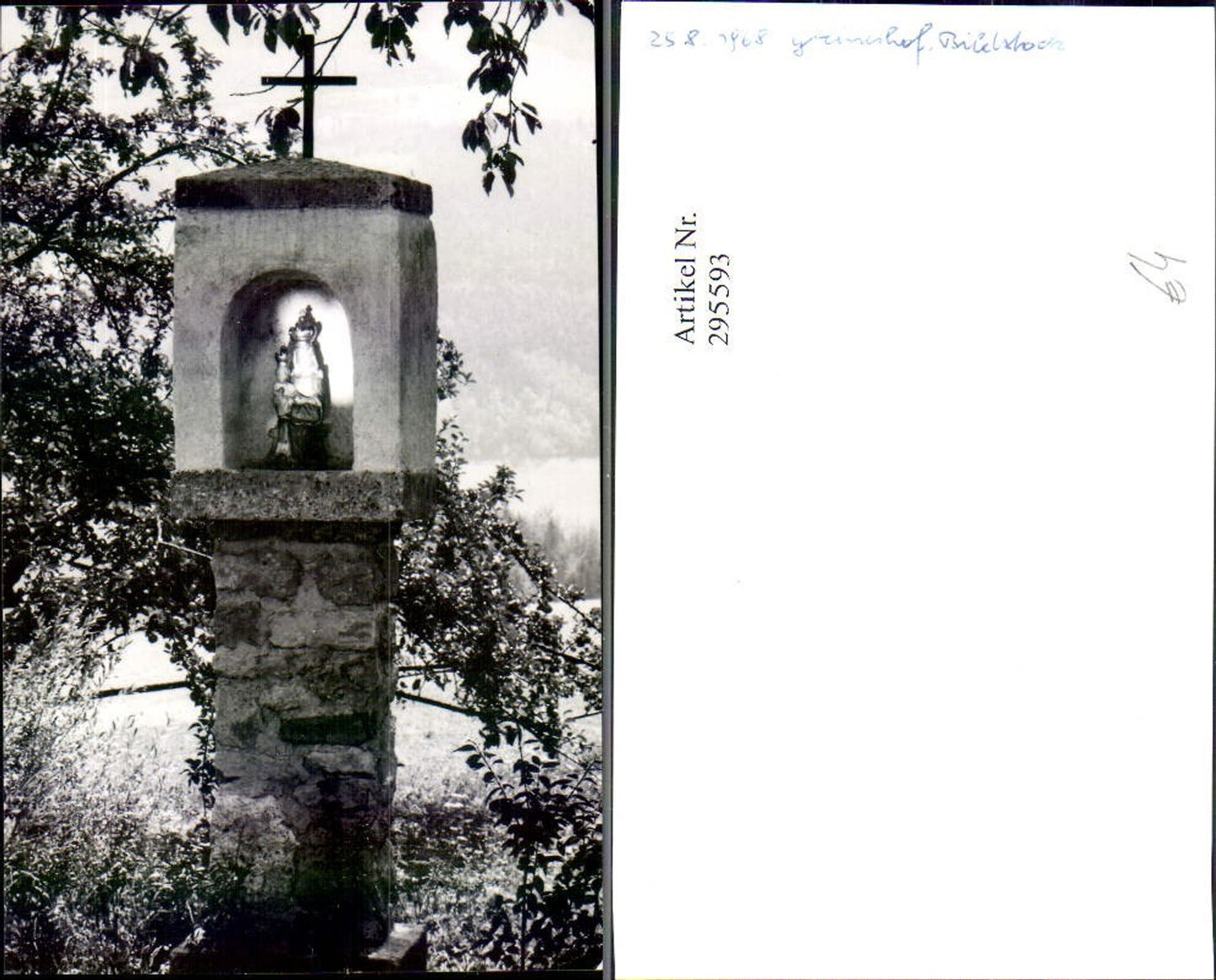 295593,Foto Greinerhof b. Edlach Bildstock