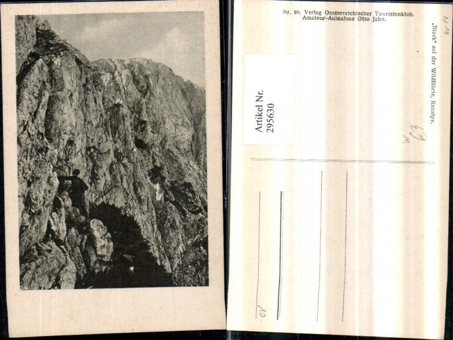 295630,Raxalpe Block auf d. Wildfährte Bergkulisse b. Naßwald Bergsteiger