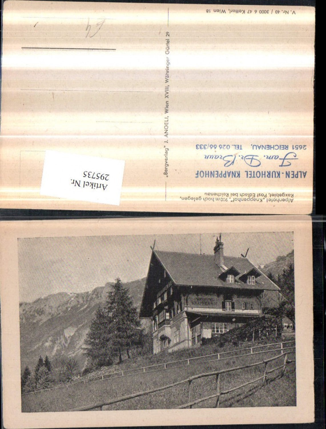 295735,Alpenhotel Knappenhof b. Edlach Reichenau an d. Rax Bergkulisse