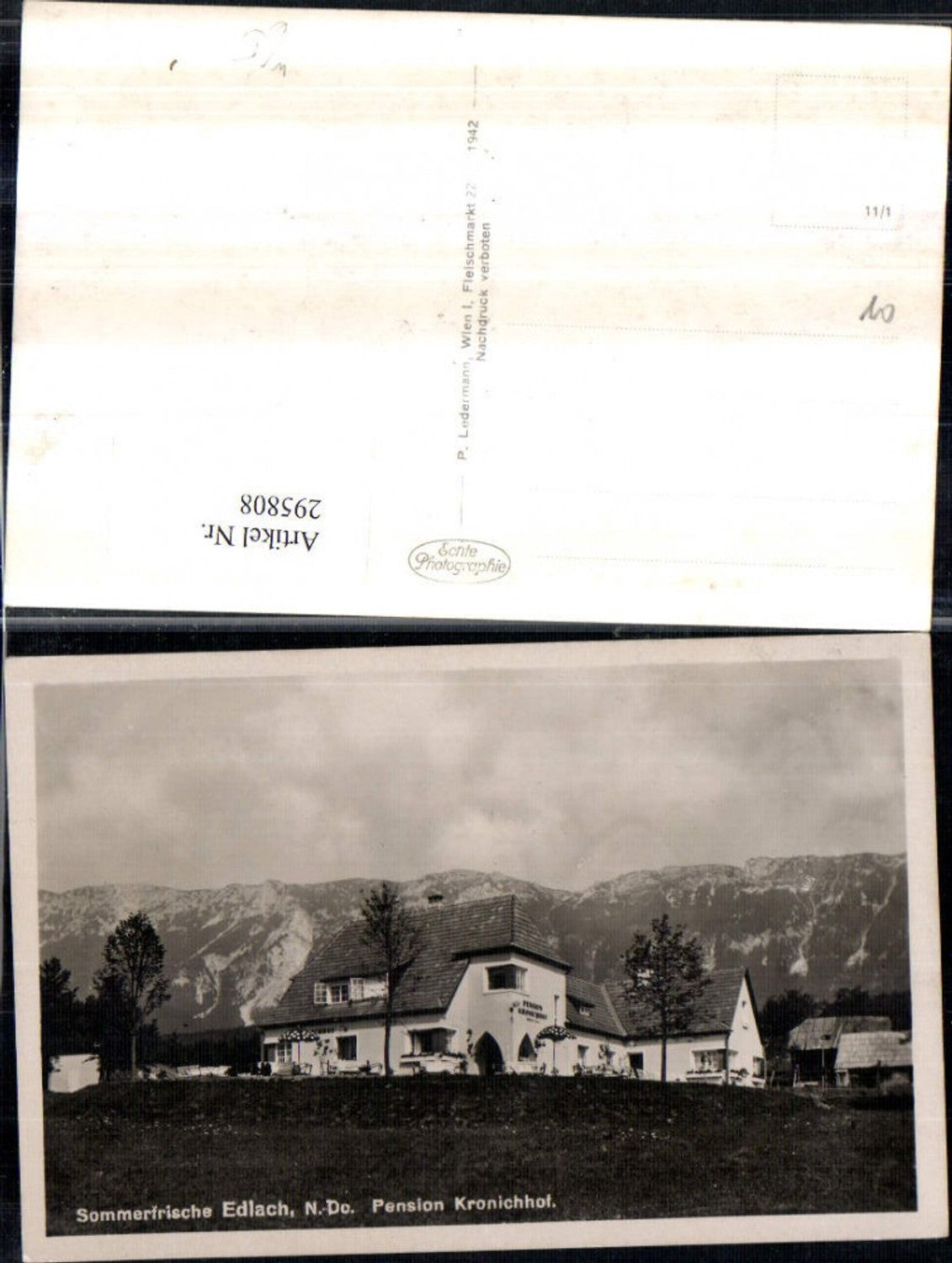 295808,Edlach an d. Rax Pension Kronichhof Bergkulisse