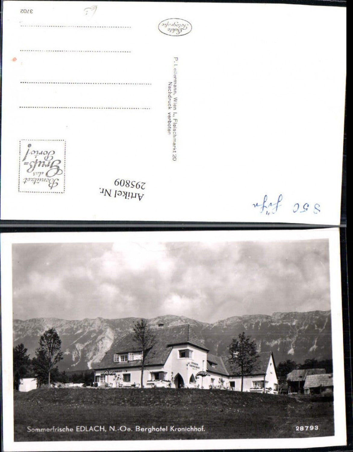 295809,Edlach an d. Rax Berghotel Kronichhof Bergkulisse