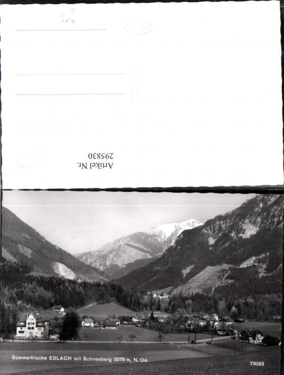 295830,Edlach an d. Rax Totale m. Schneeberg Bergkulisse