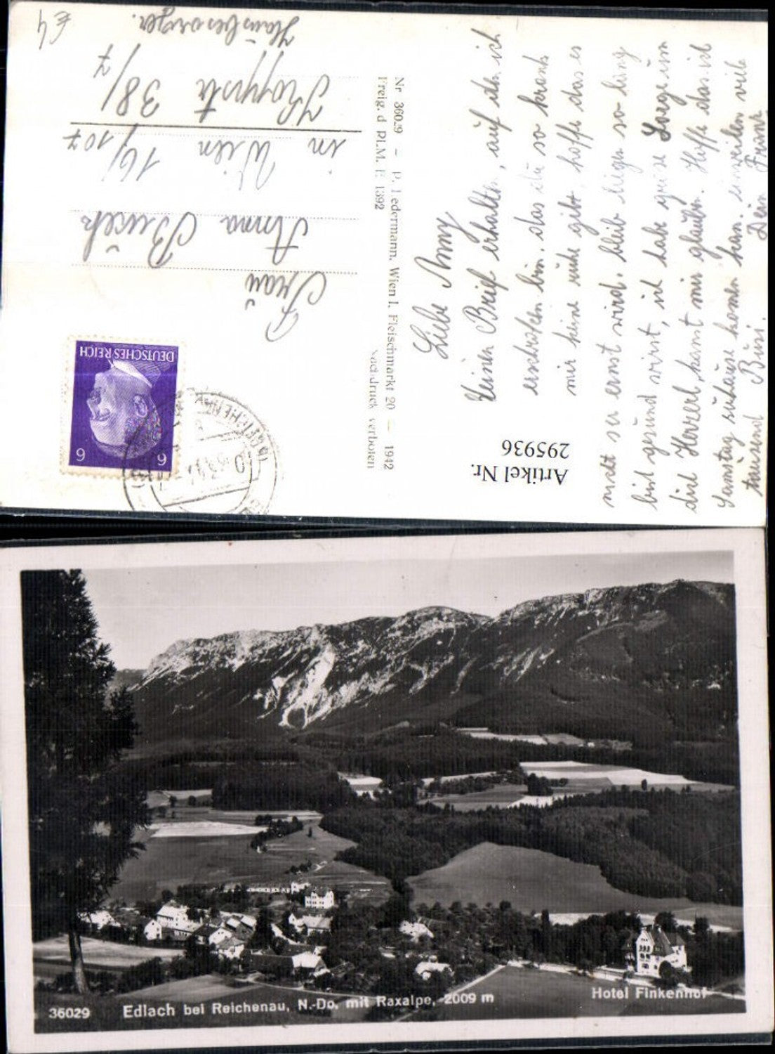 295936,Edlach b. Reichenau Totale m. Hotel Finkenhof geg. Raxalpe Bergkulisse