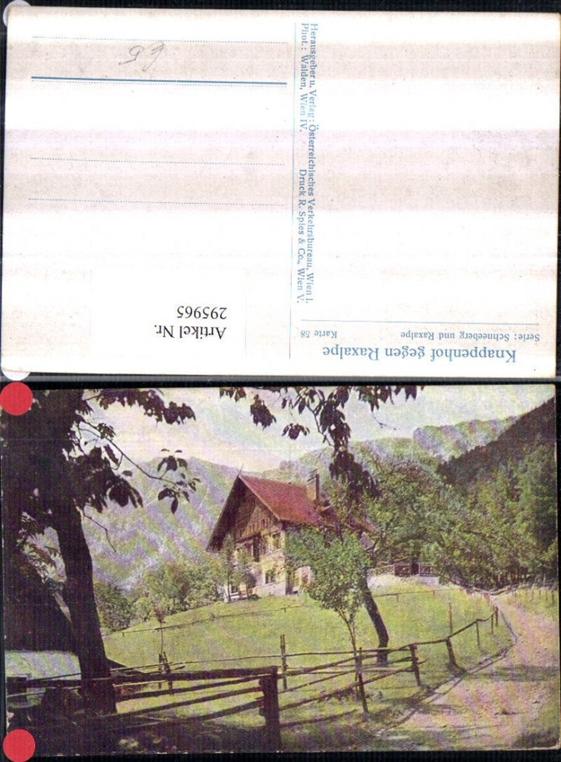 295965,Alpenhotel Knappenhof b. Edlach geg. Raxalpe Bergkulisse