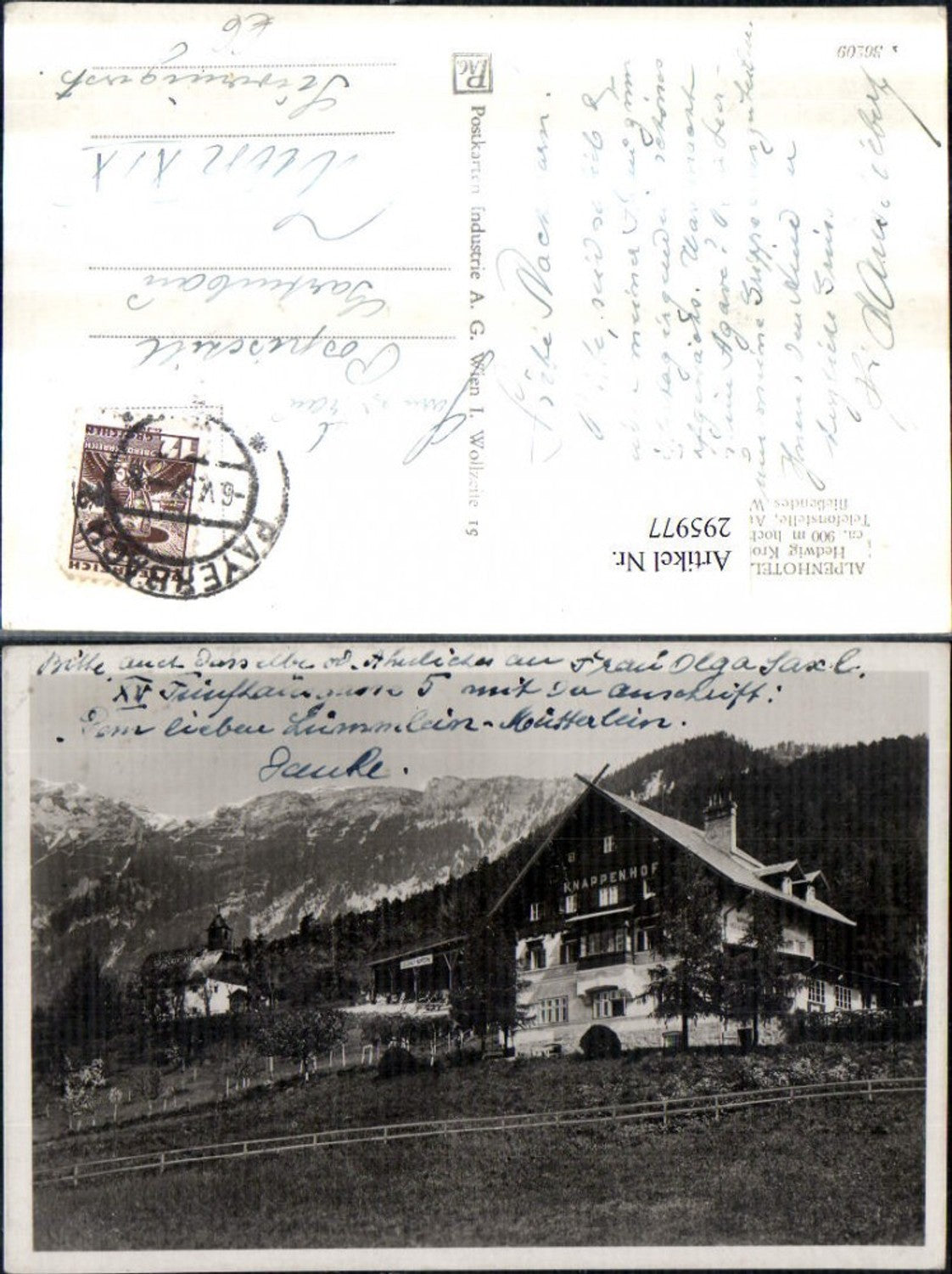 295977,Alpenhotel u. Pension Knappenhof b. Edlach an d. Rax Bergkulisse